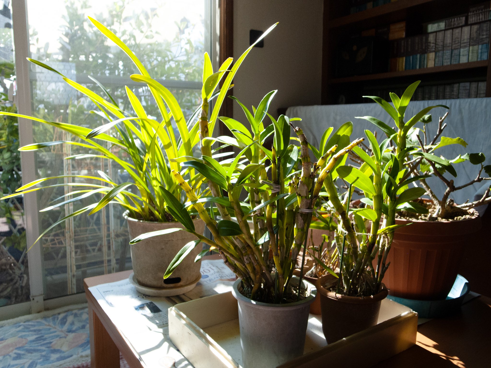 2009年発売 RICOH GR DIGITAL IIIを使ってみた！｜児玉アキシゲ