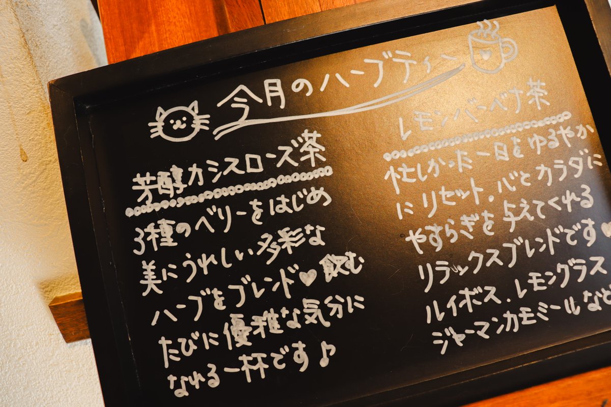 蒼木陣、保護猫カフェへ行く！ #5