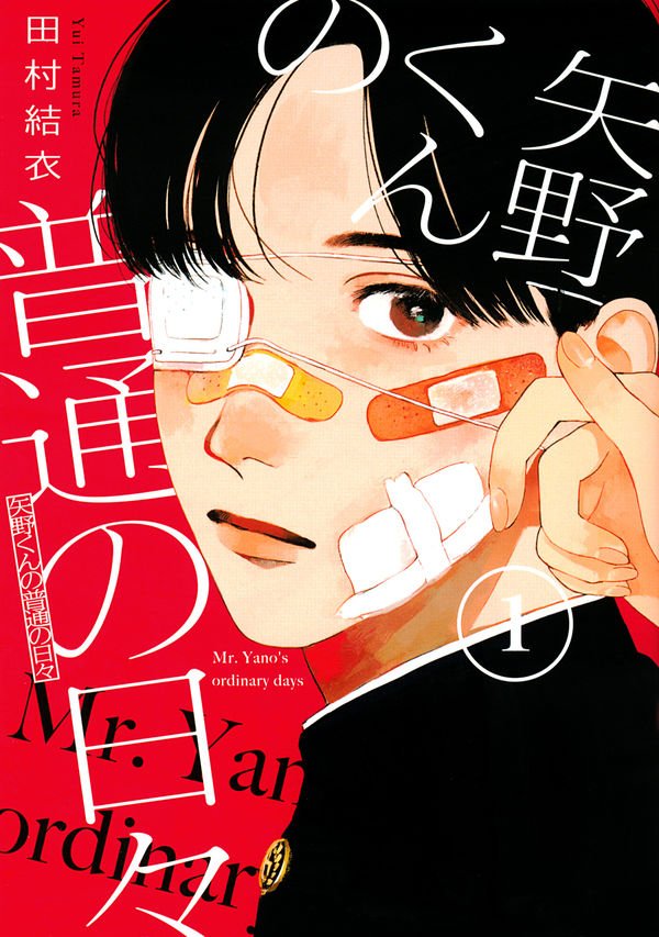 『矢野くんの普通の日々』田村結衣著／講談社