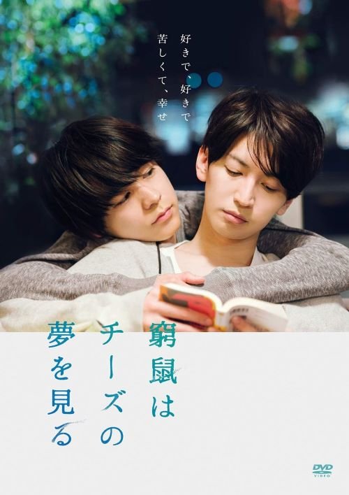 Blu-ray『窮鼠はチーズの夢を見る』（ジェイ・ストーム）