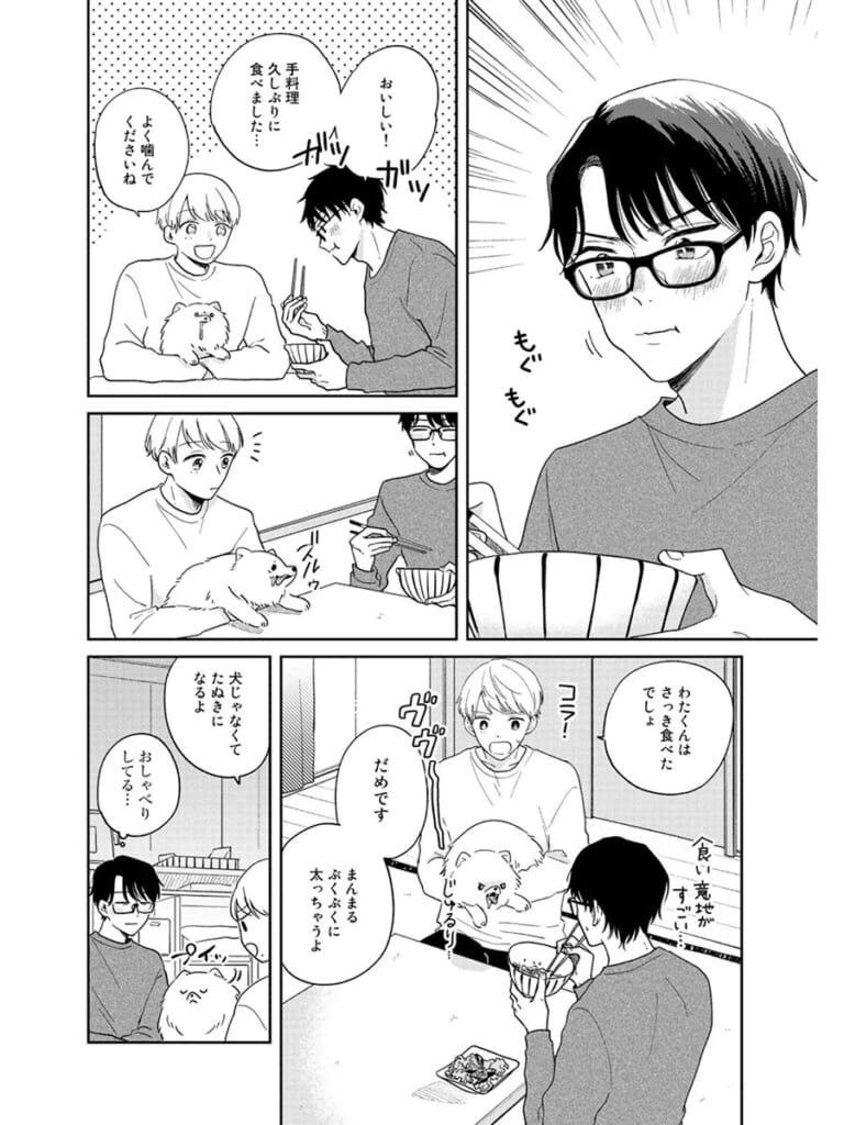 しっぽの恋