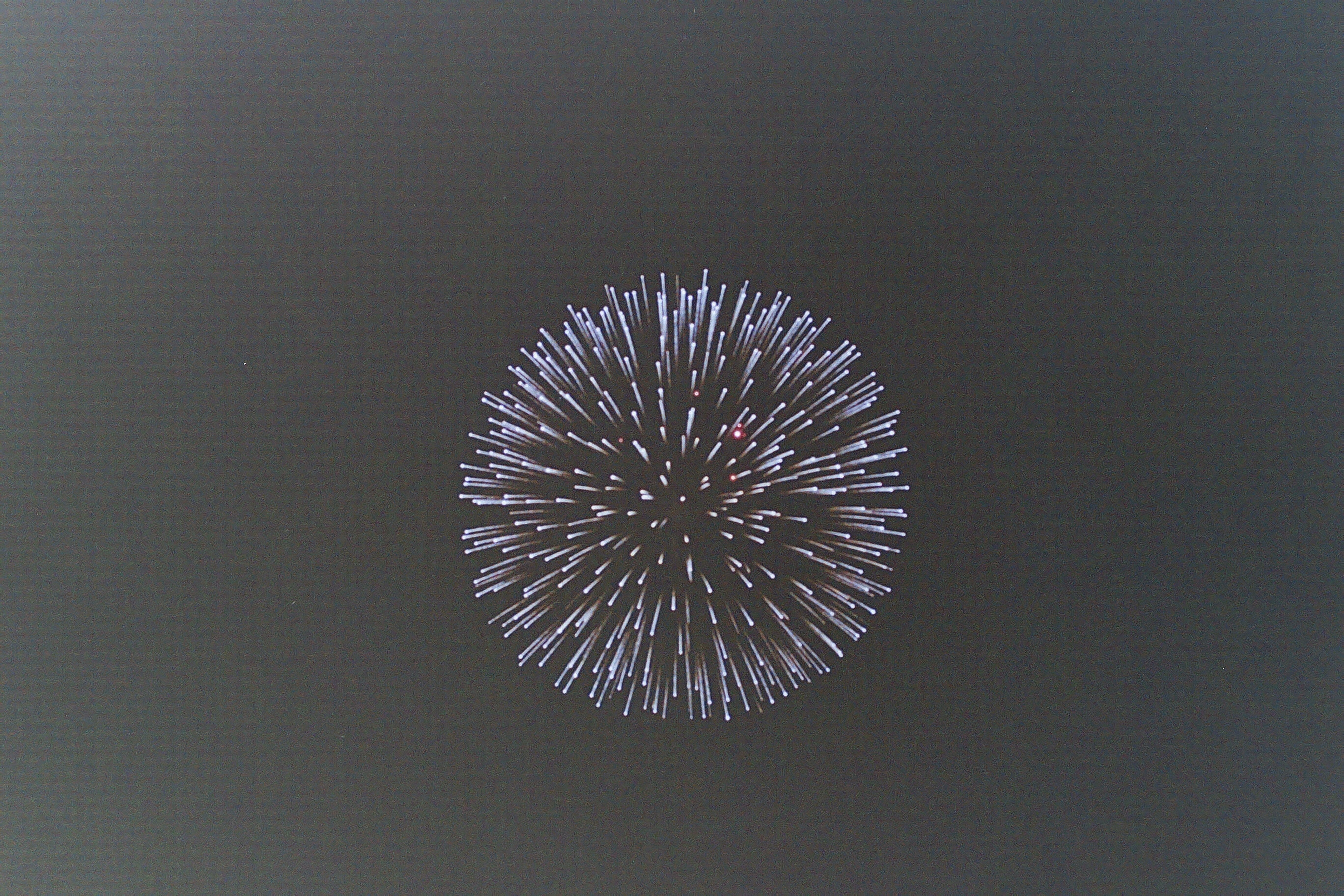 雑記（ネガフィルムスキャンについて）｜paranoid_______