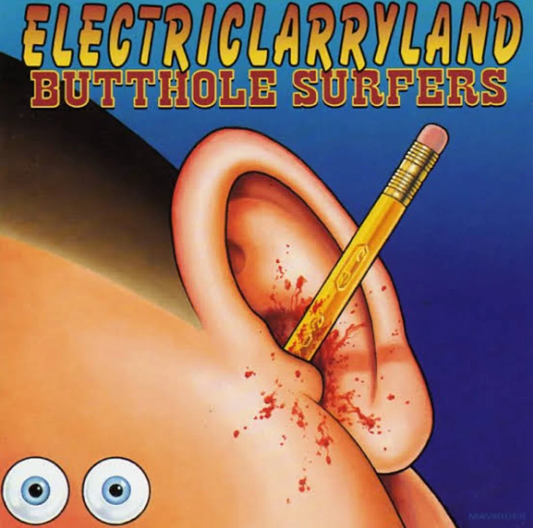 和訳しました】BUTTHOLE SURFERS/BIRDS｜つやつやと実っている稲穂