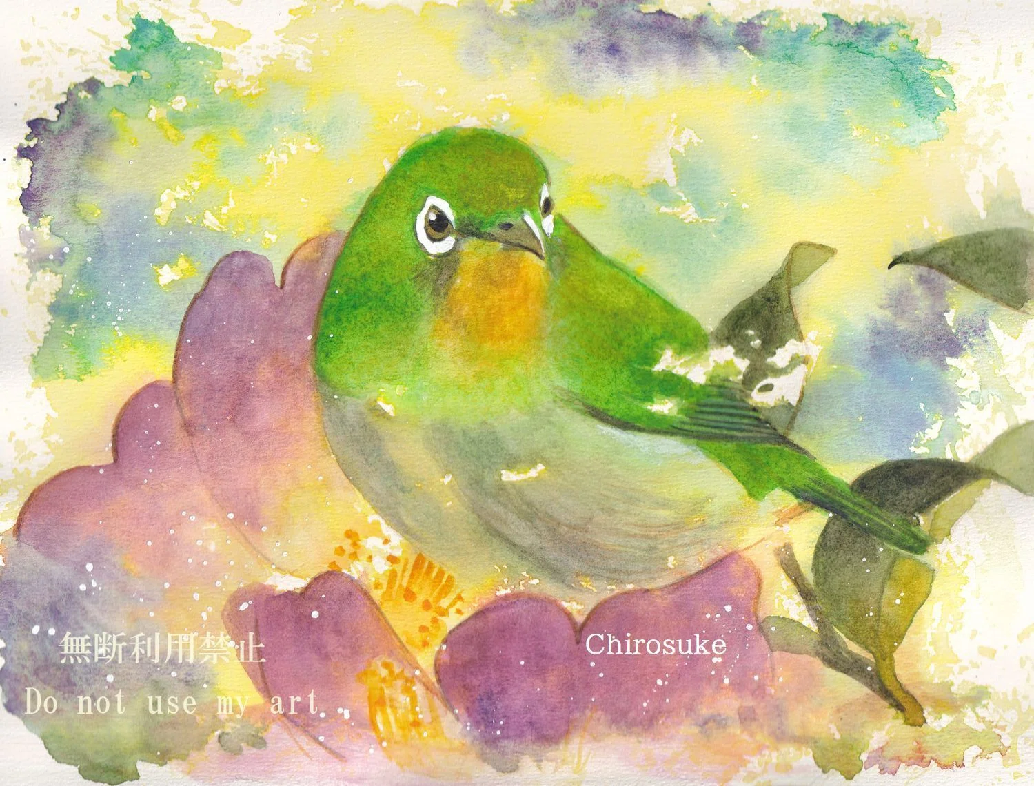 水彩画 メジロ｜ちろ