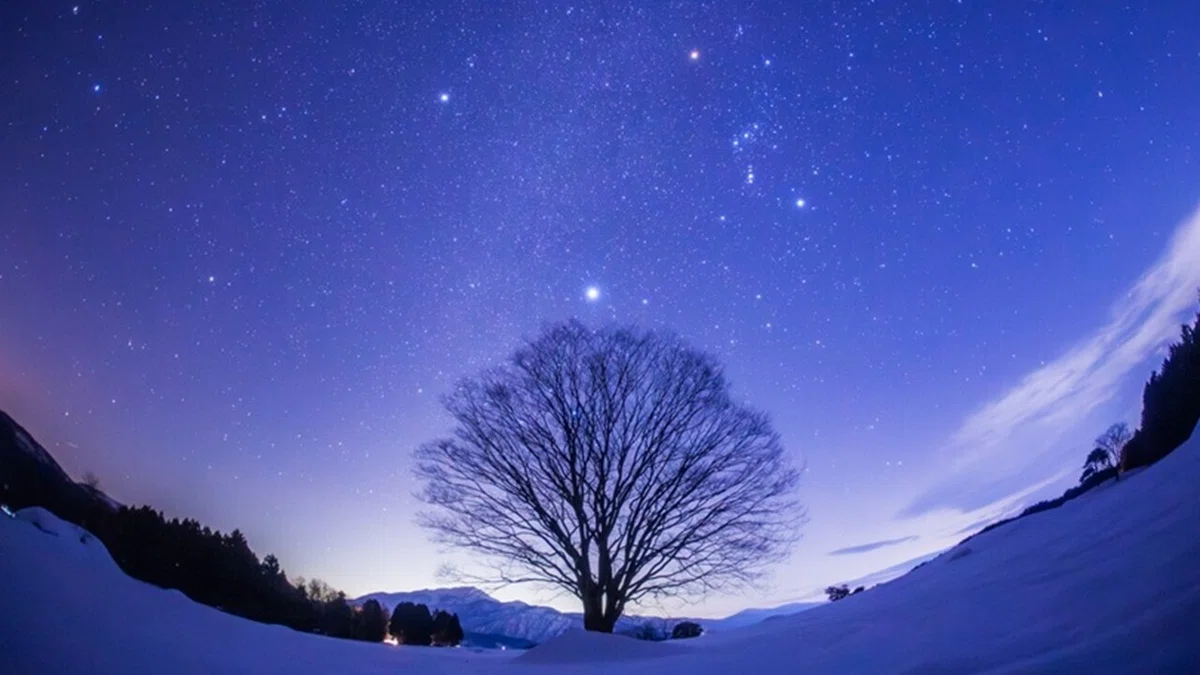 Mobile crypto wallet interface displaying cryptocurrency portfolio starry digital background