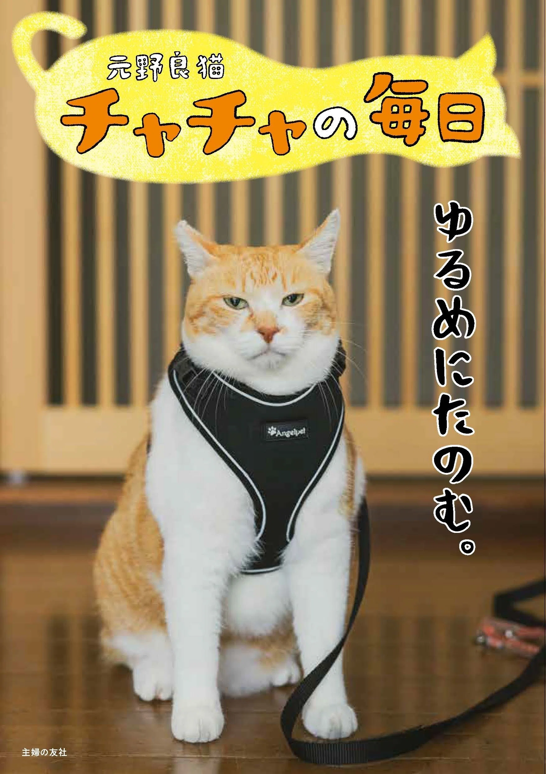 発売予告】元野良猫チャチャの毎日【3月14日発売】｜【公式】TomoNote