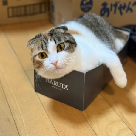 断捨離して「帰ろう」🎁｜倉林 一範