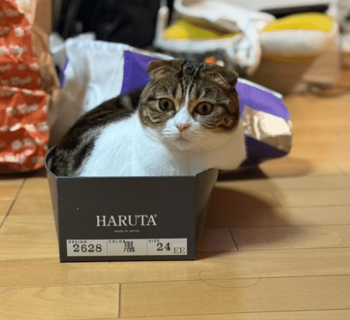 断捨離して「帰ろう」🎁｜倉林 一範