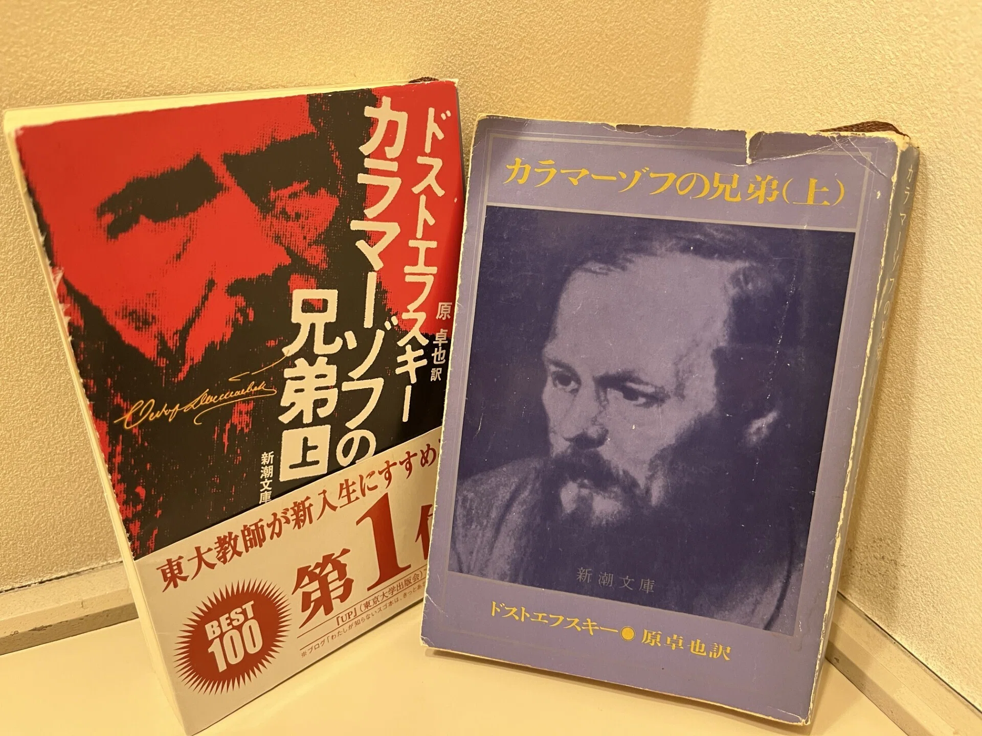 カラマーゾフの兄弟』再読（1）｜SATOSHI