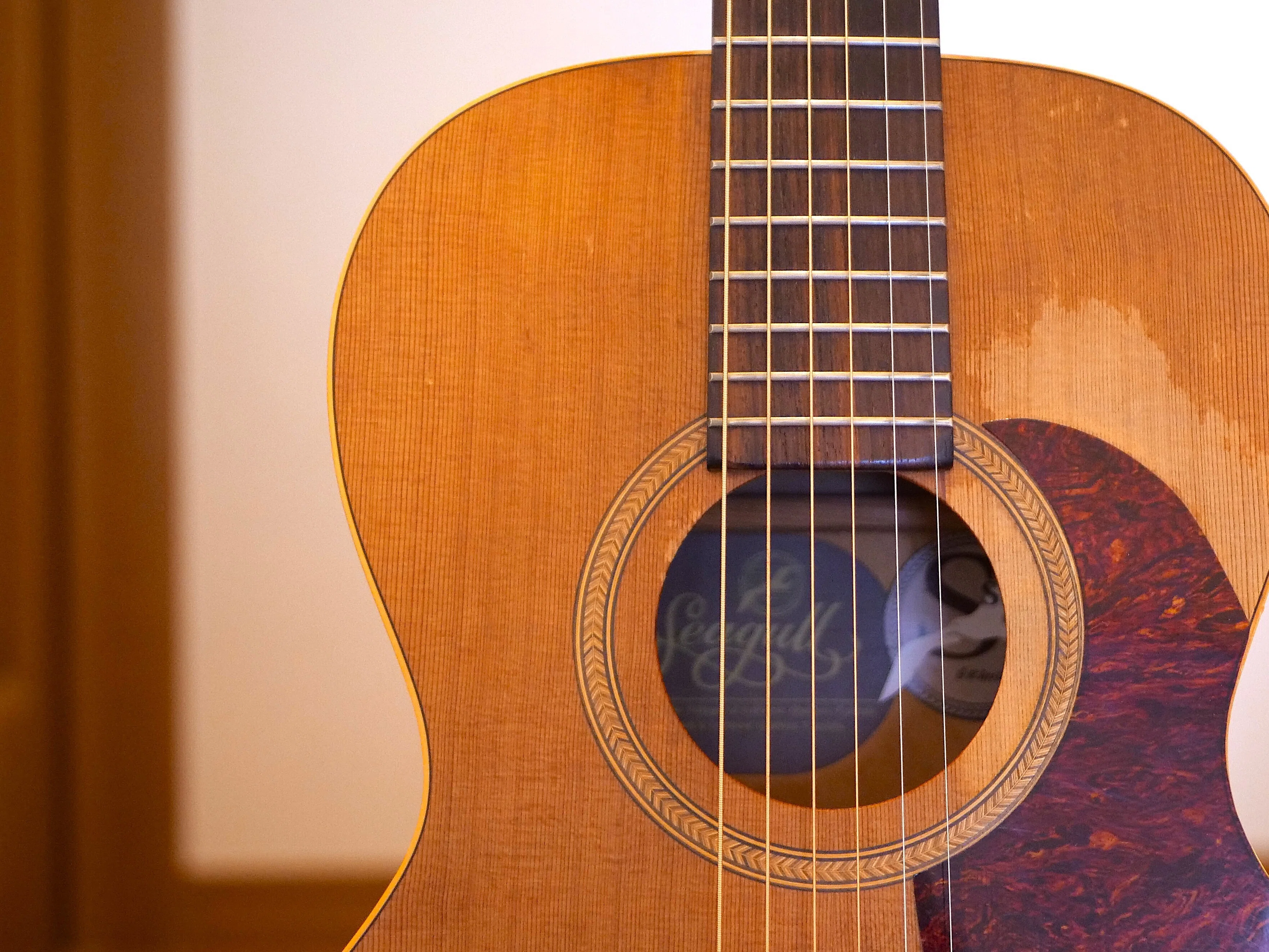 音をつむぐ#70「カモメのギター♫」｜take 🎸全ての人が自由になれる気