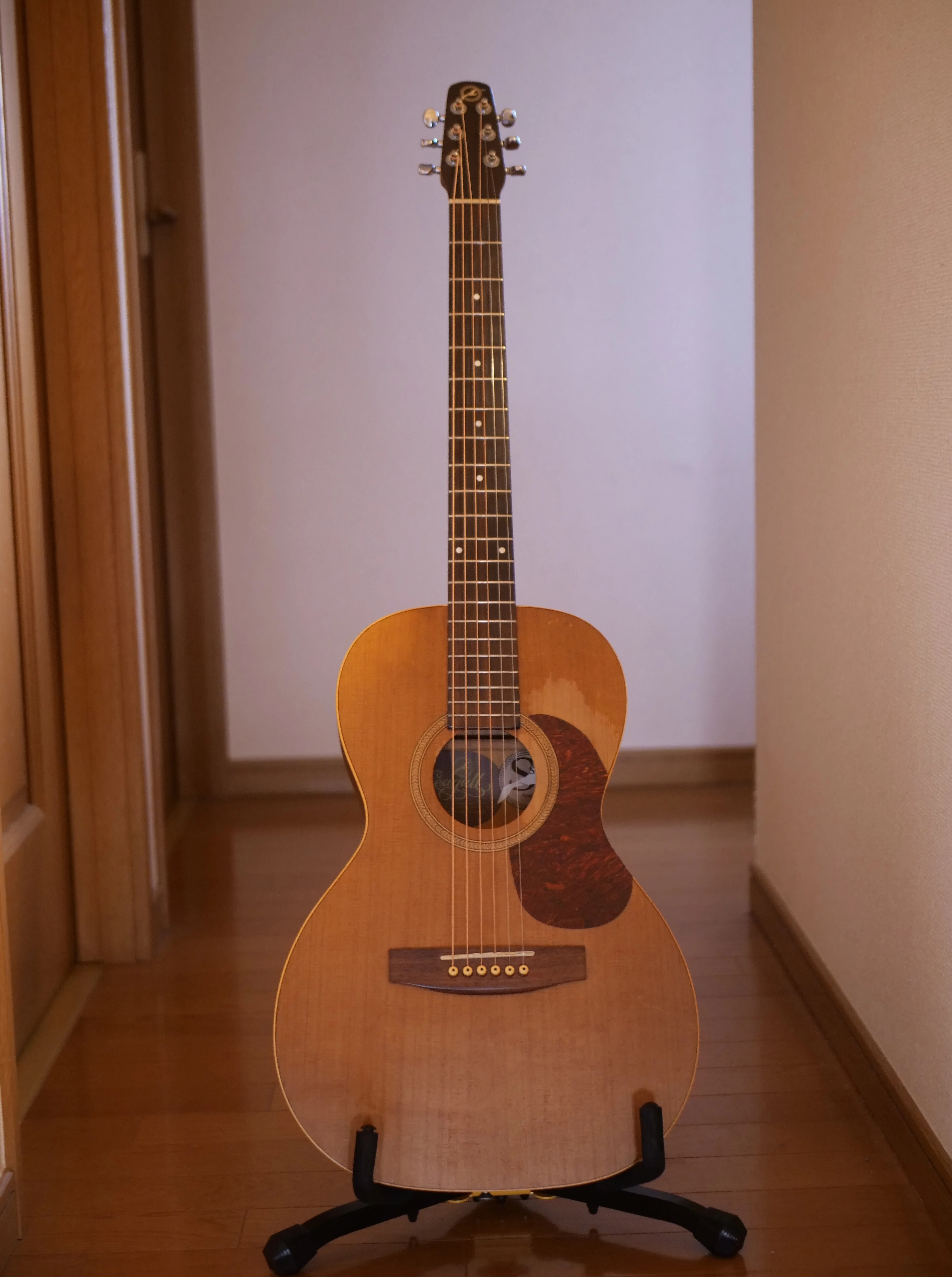 音をつむぐ#70「カモメのギター♫」｜take 🎸全ての人が自由になれる気