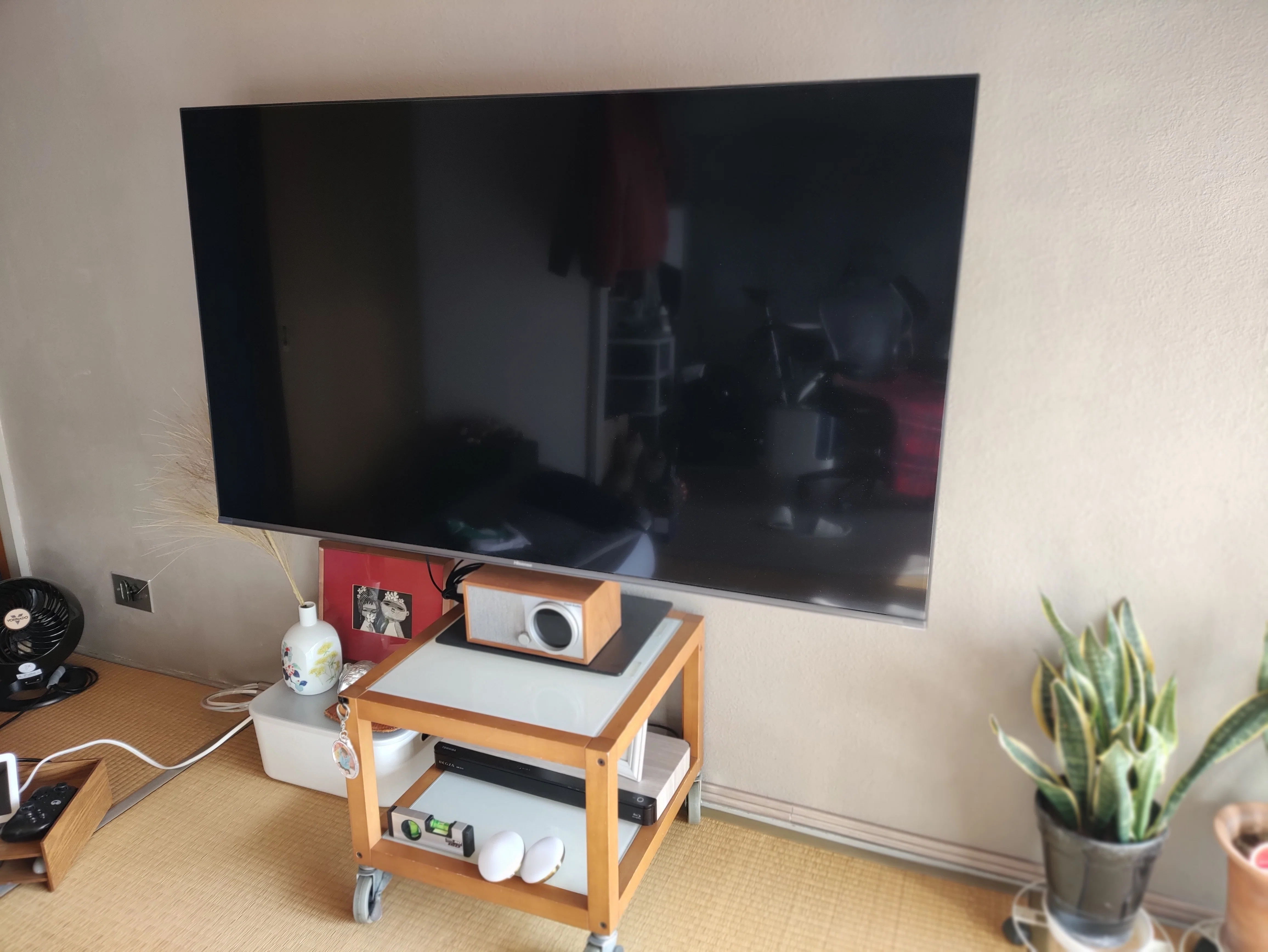 55インチ テレビ 現役として使用
