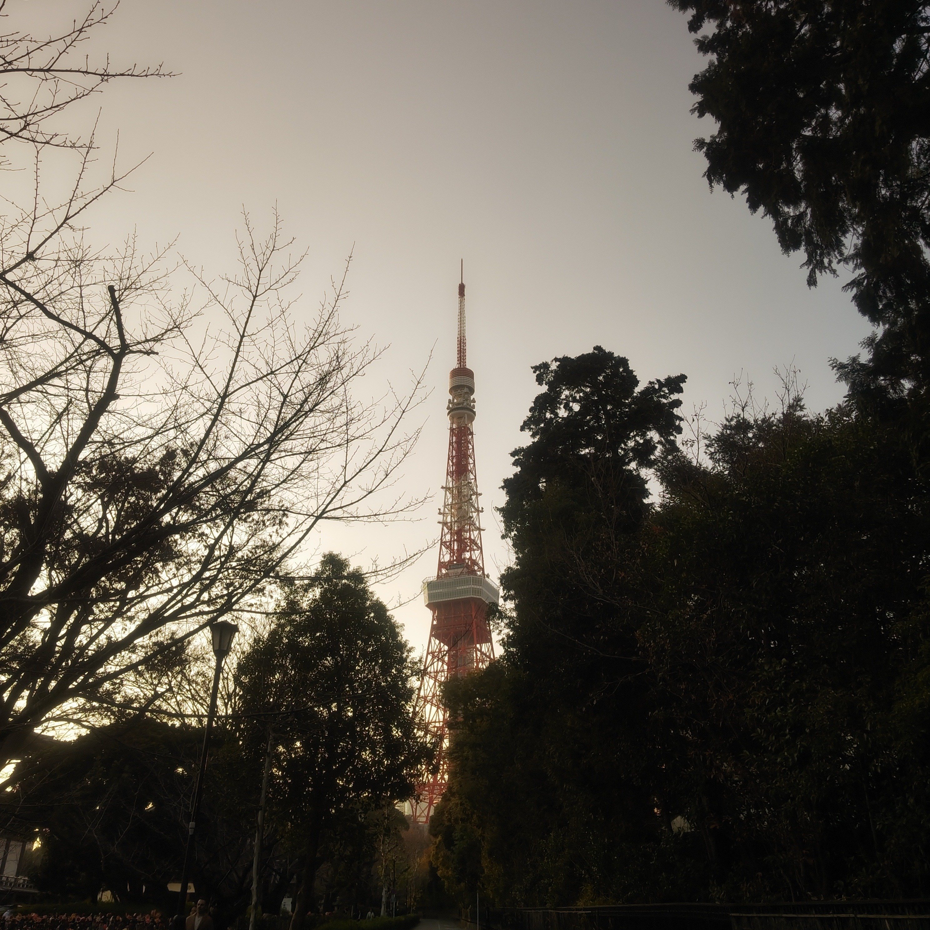 ご当地ばな夫　東京タワー　スクイーズ ご当地ばな夫 東京タワー スクイーズ