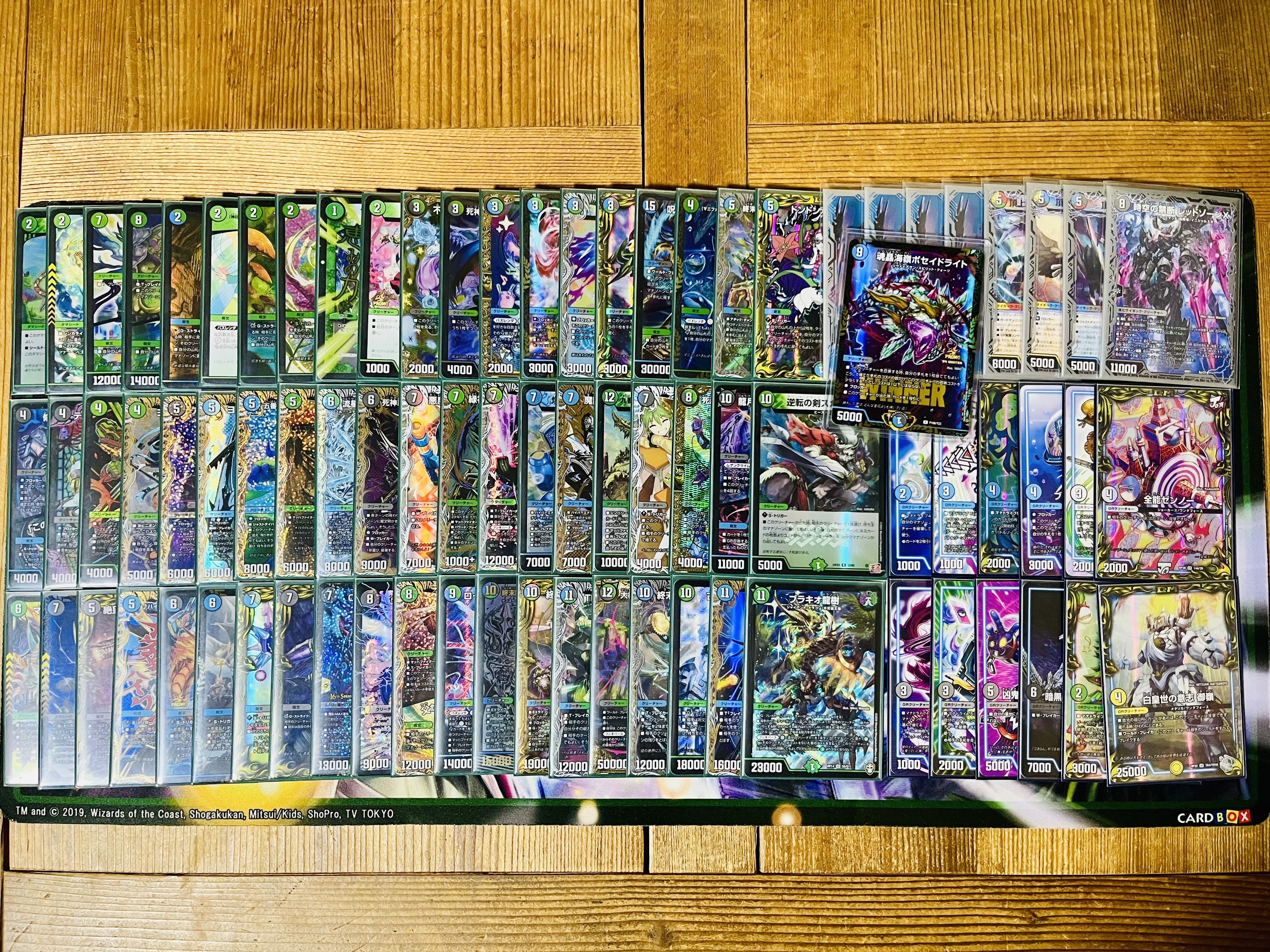 🌿🍃自然ハイランダー初動解説🌱🪴｜ABB