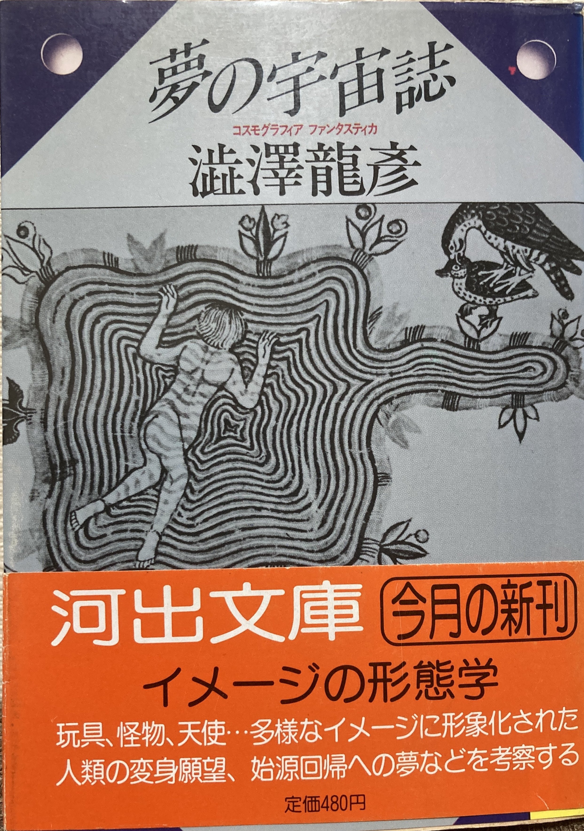 書評＞『夢の宇宙誌』、『胡桃の中の世界』｜きーやん