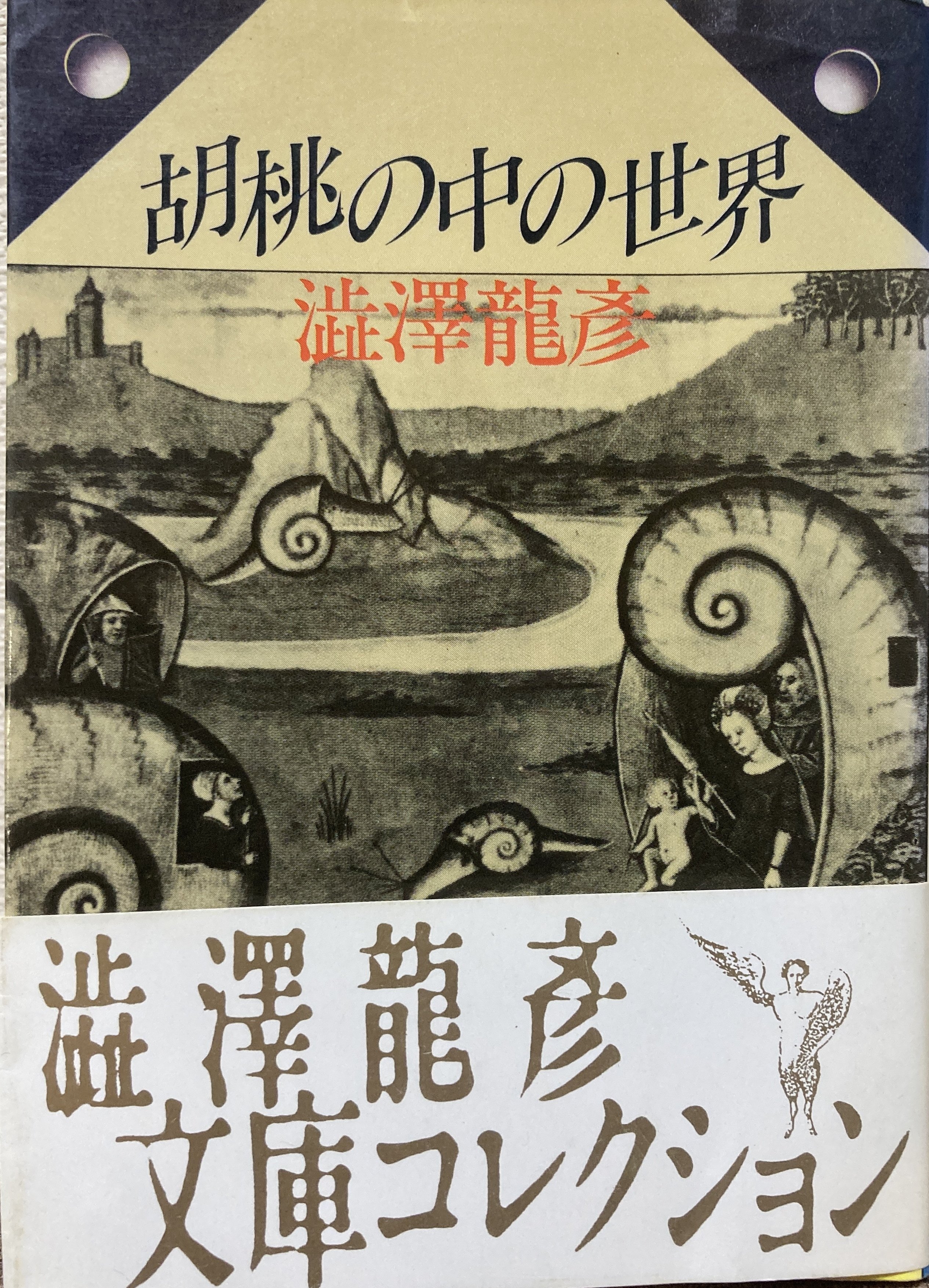 能登地震寄付　夢の宇宙誌　コスモグラフィア ファンタスティカ 　澁澤龍彦 夢の宇宙誌―コスモグラフィア ファンタスティカ (1964年) (美術