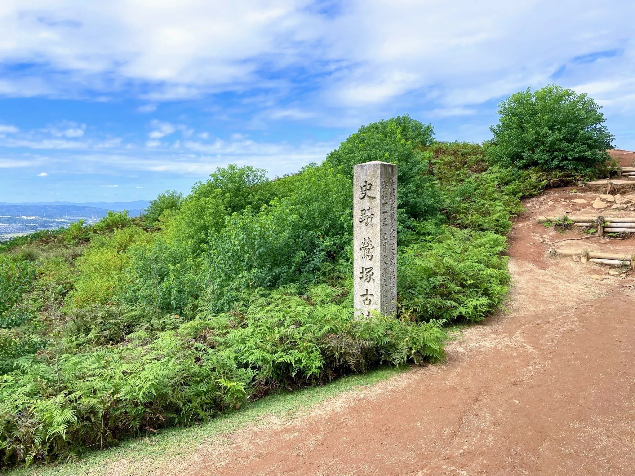奈良・若草山の「山焼き」と、山登り｜美術館とお寺と猫