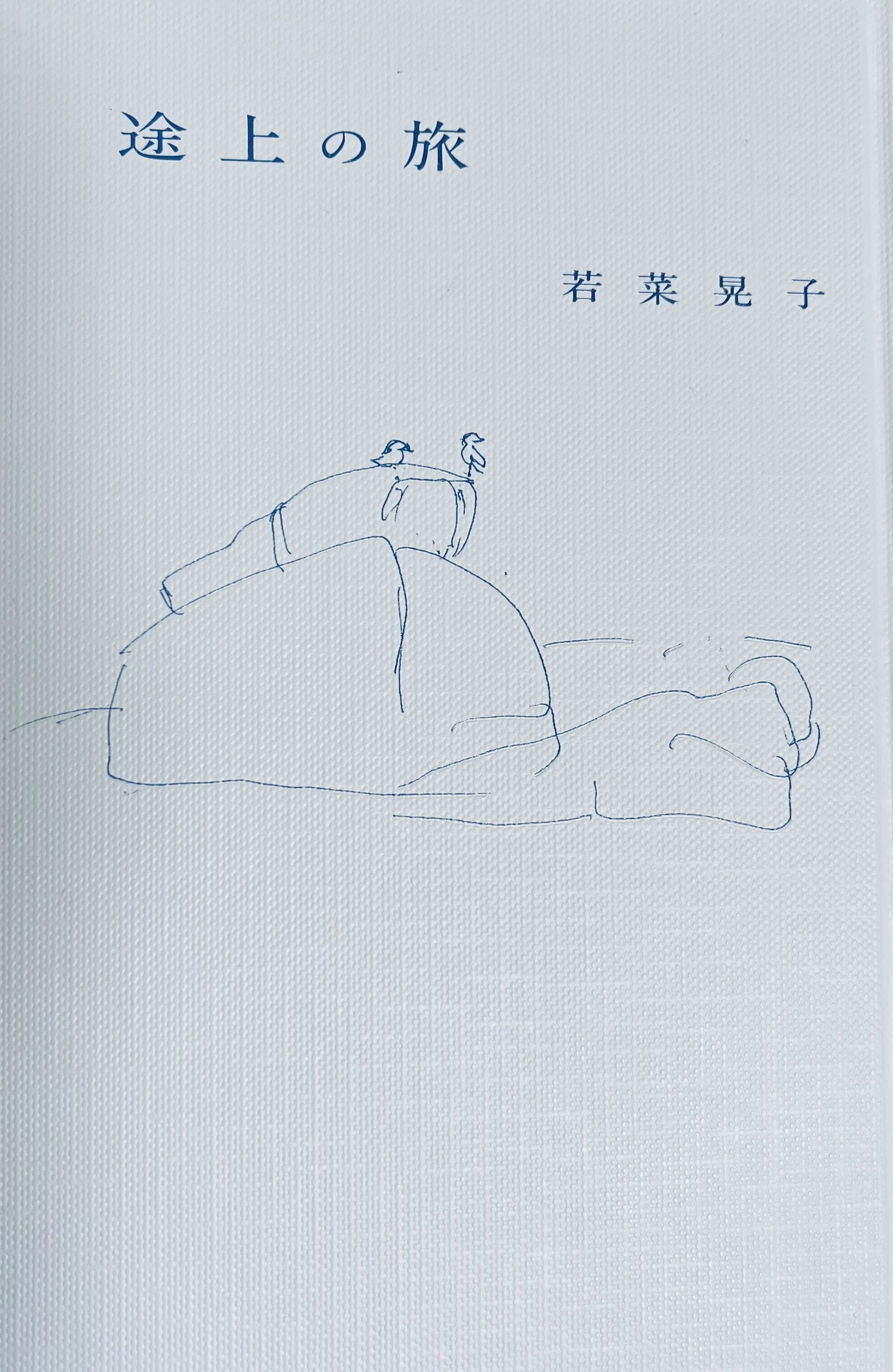 ほしいものをひとつ。（若菜晃子『途上の旅』）｜峯澤典子 Noriko Minesawa