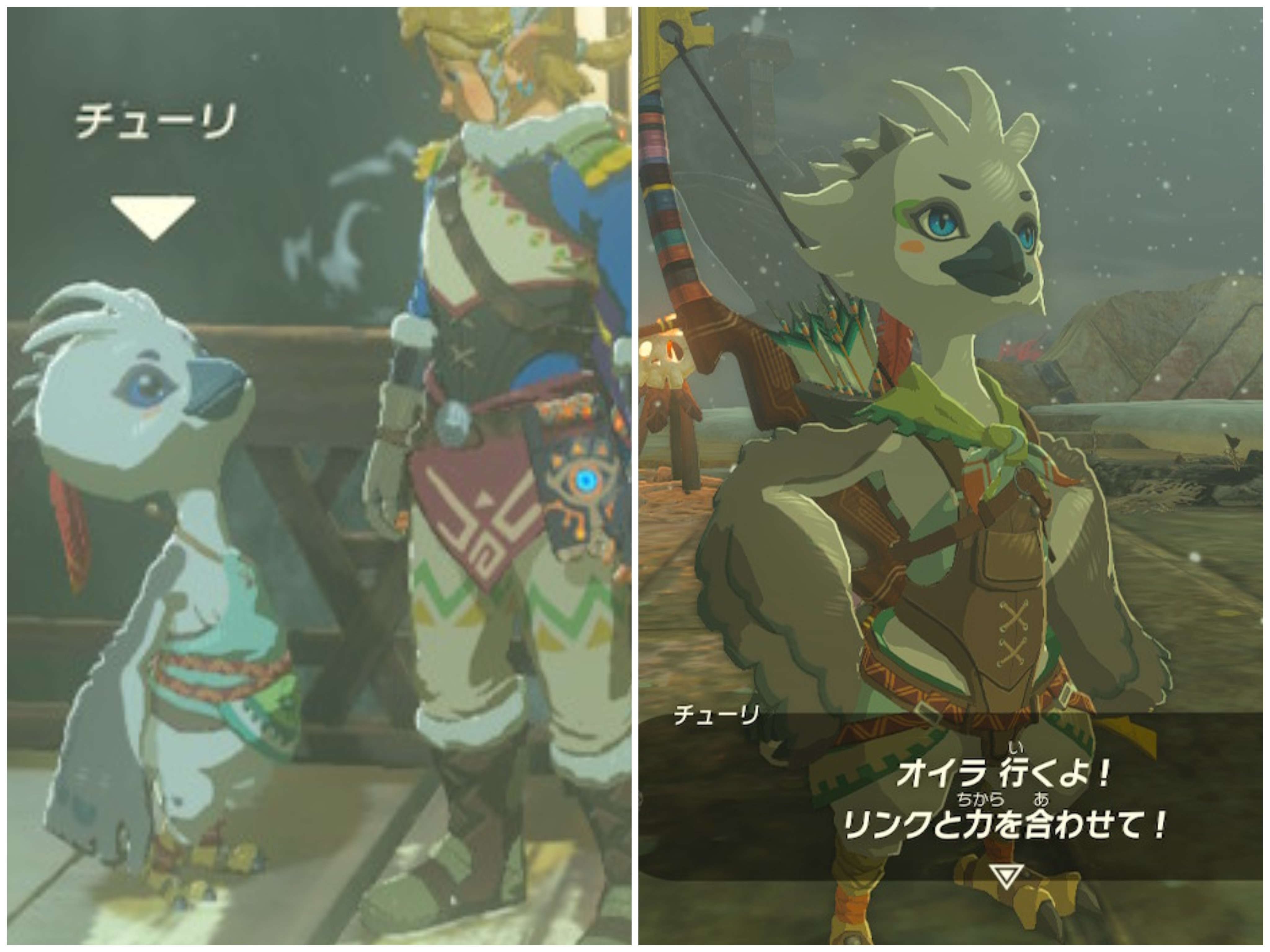 【おまけ付き】 ゼルダの伝説 ブレワイ & ティアキン おまけ付き】 ゼルダの伝説 ブレワイ & ティアキン