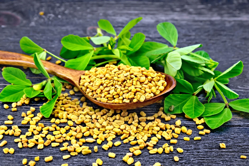[Nutrition/Supplements][Men's Health] A Comparison of Recently Popular ...