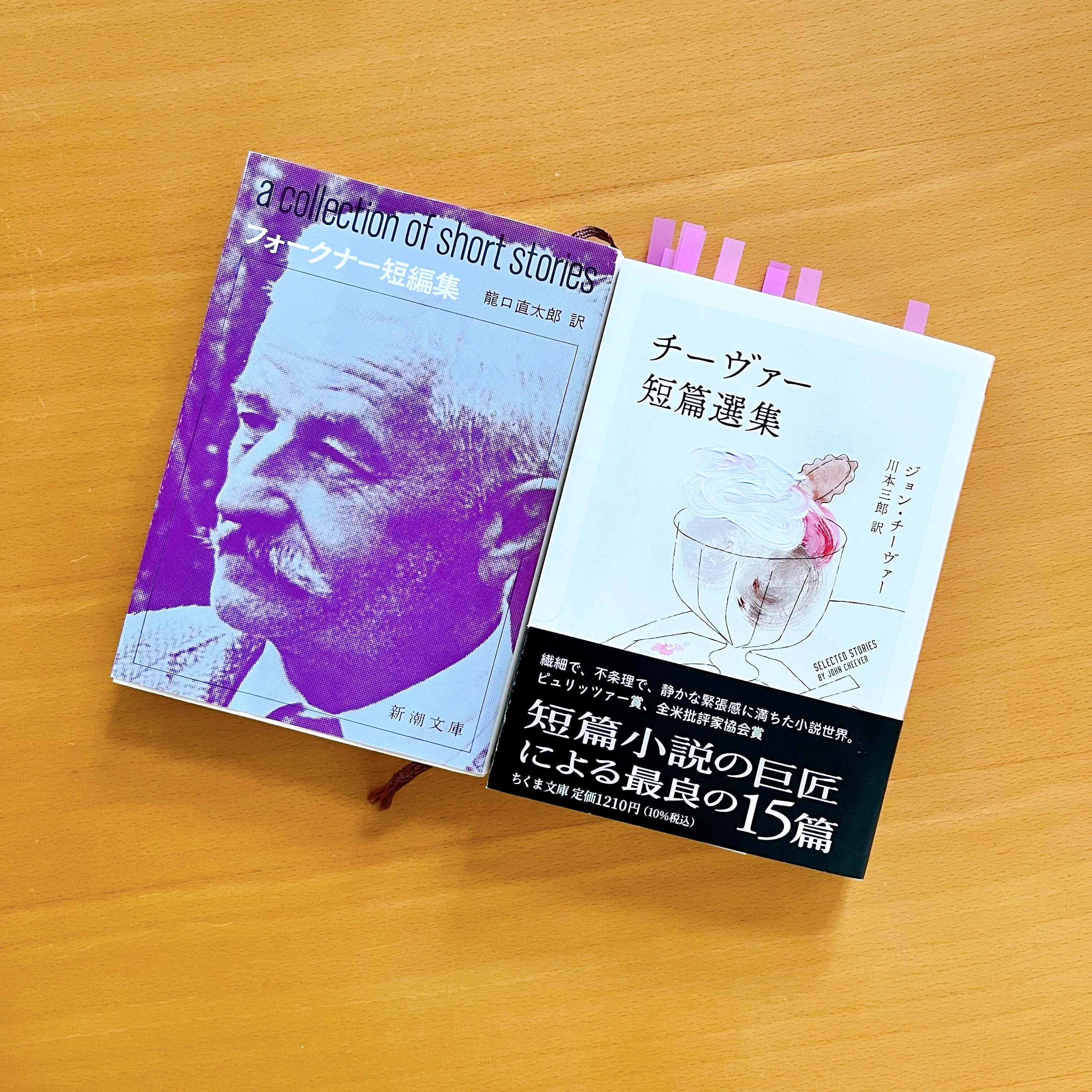 不条理さになぜか惹かれてしまう『アメリカ文学短編4本紹介回』｜文学