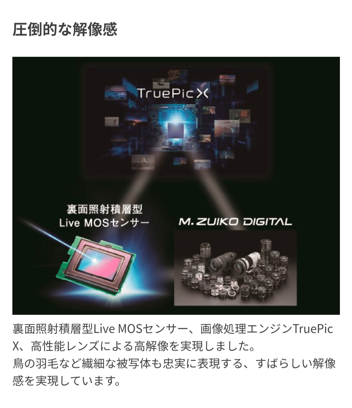 i14.truepic.org 1万字オーバー!!】OM SYSTEM OM-1 MARK II / 1年間使用レビュー｜もみじ卍ゅう