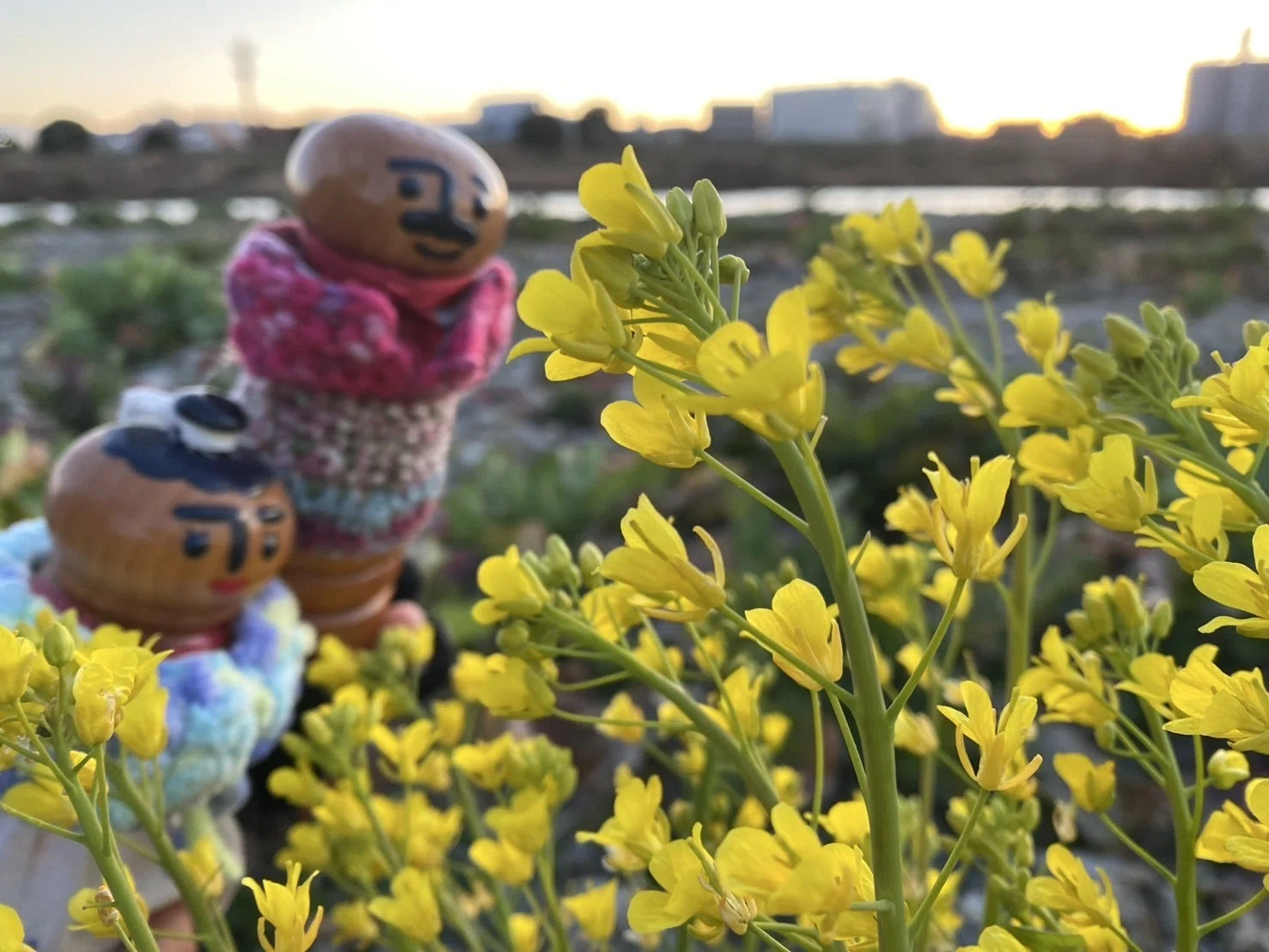ソルトさんとペッパーさんの休日 土手編｜放送作家オフィス 