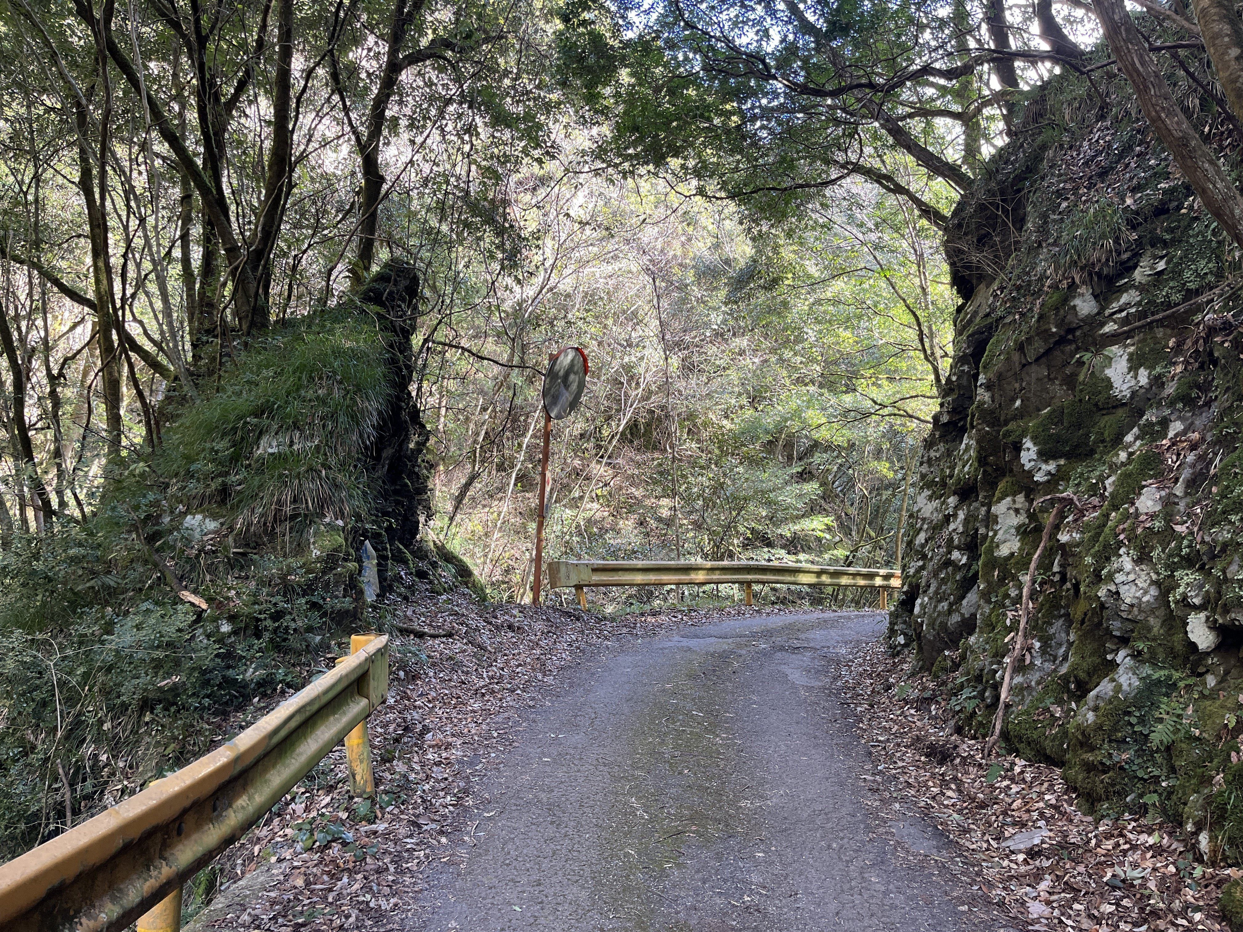 山口県道134号秋掛錦線 不通区間 前編｜Asatteca