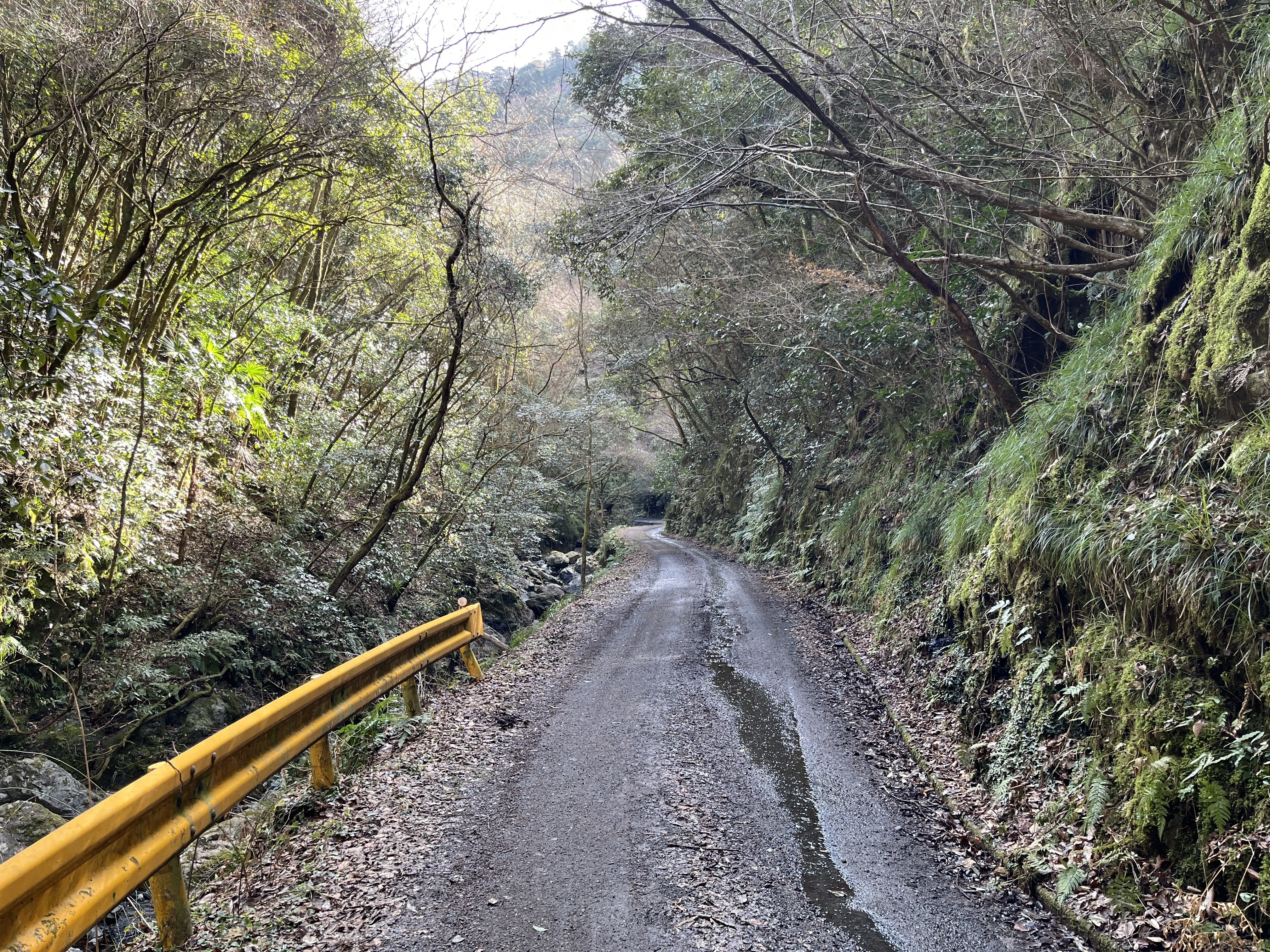 山口県道134号秋掛錦線 不通区間 前編｜Asatteca