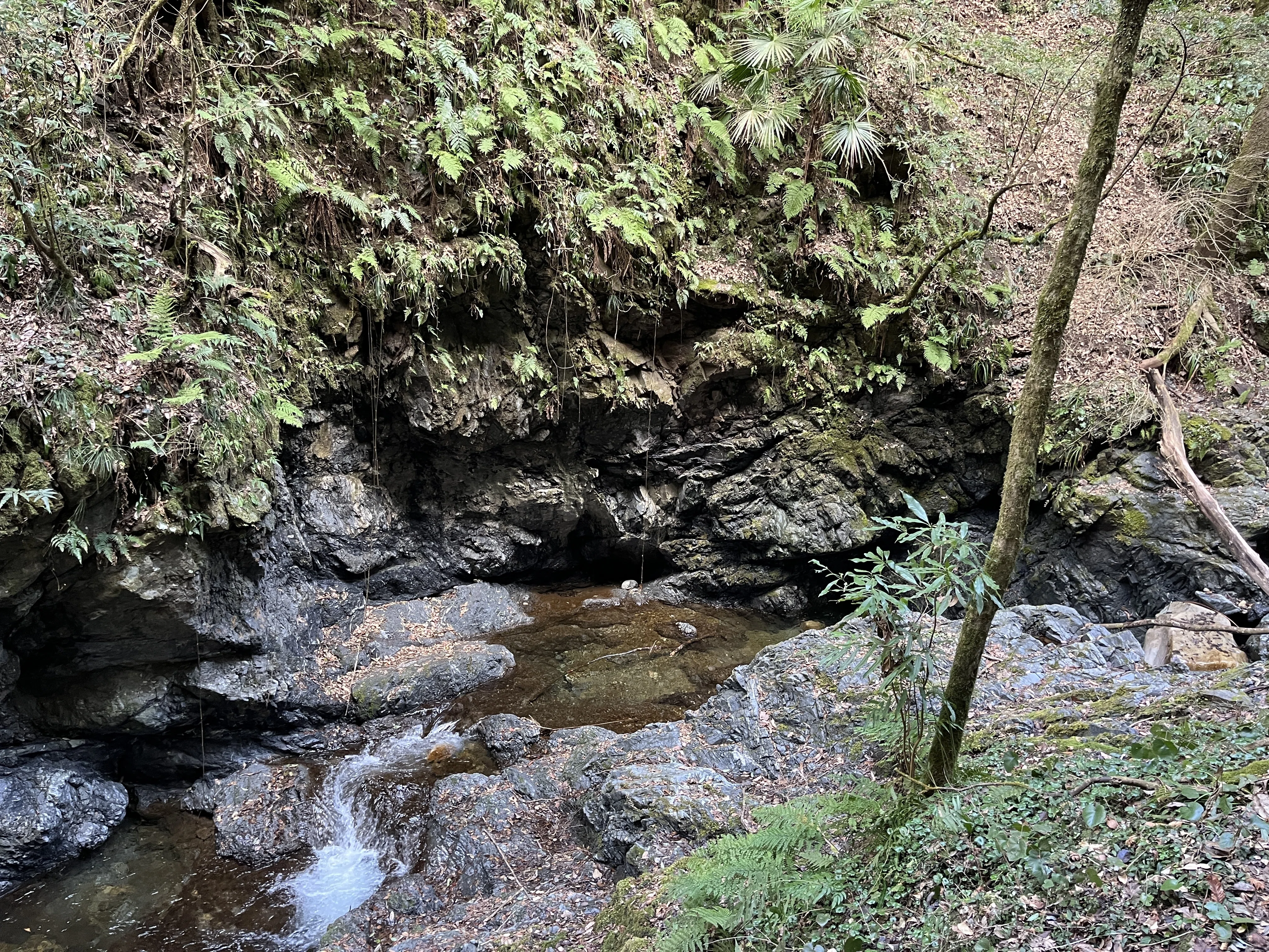 山口県道134号秋掛錦線 不通区間 前編｜Asatteca