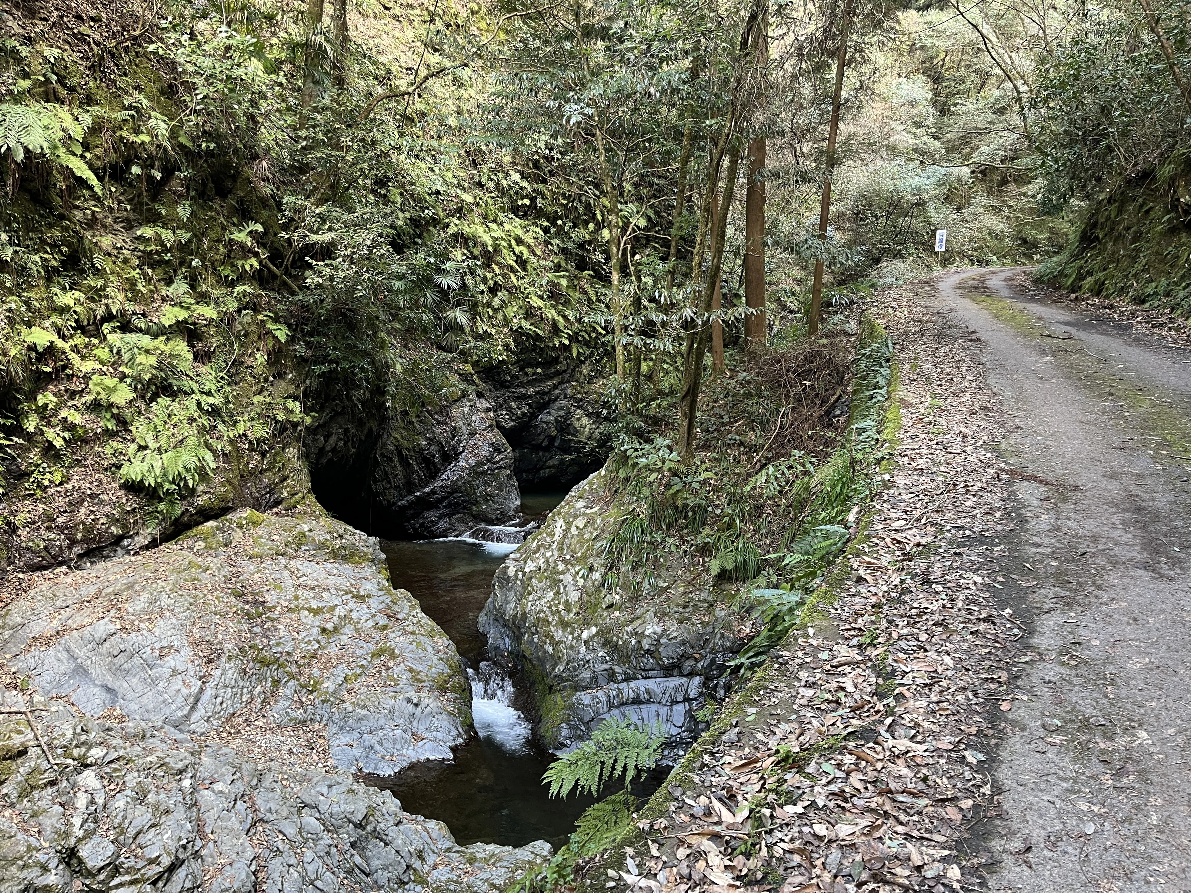 山口県道134号秋掛錦線 不通区間 前編｜Asatteca