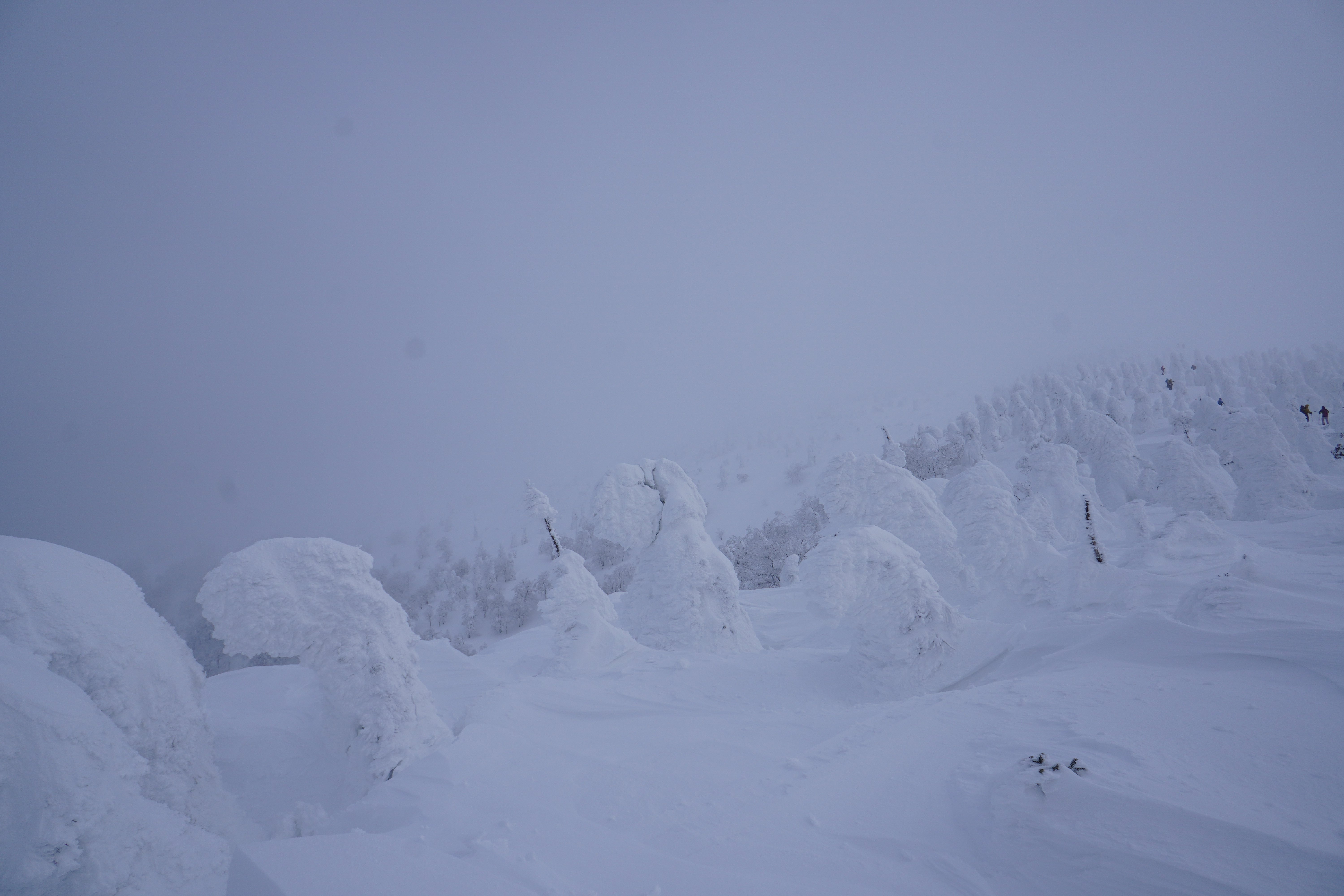 雪山の風景写真 雪山の風景写真の写真 – Unsplashの森の無料画像