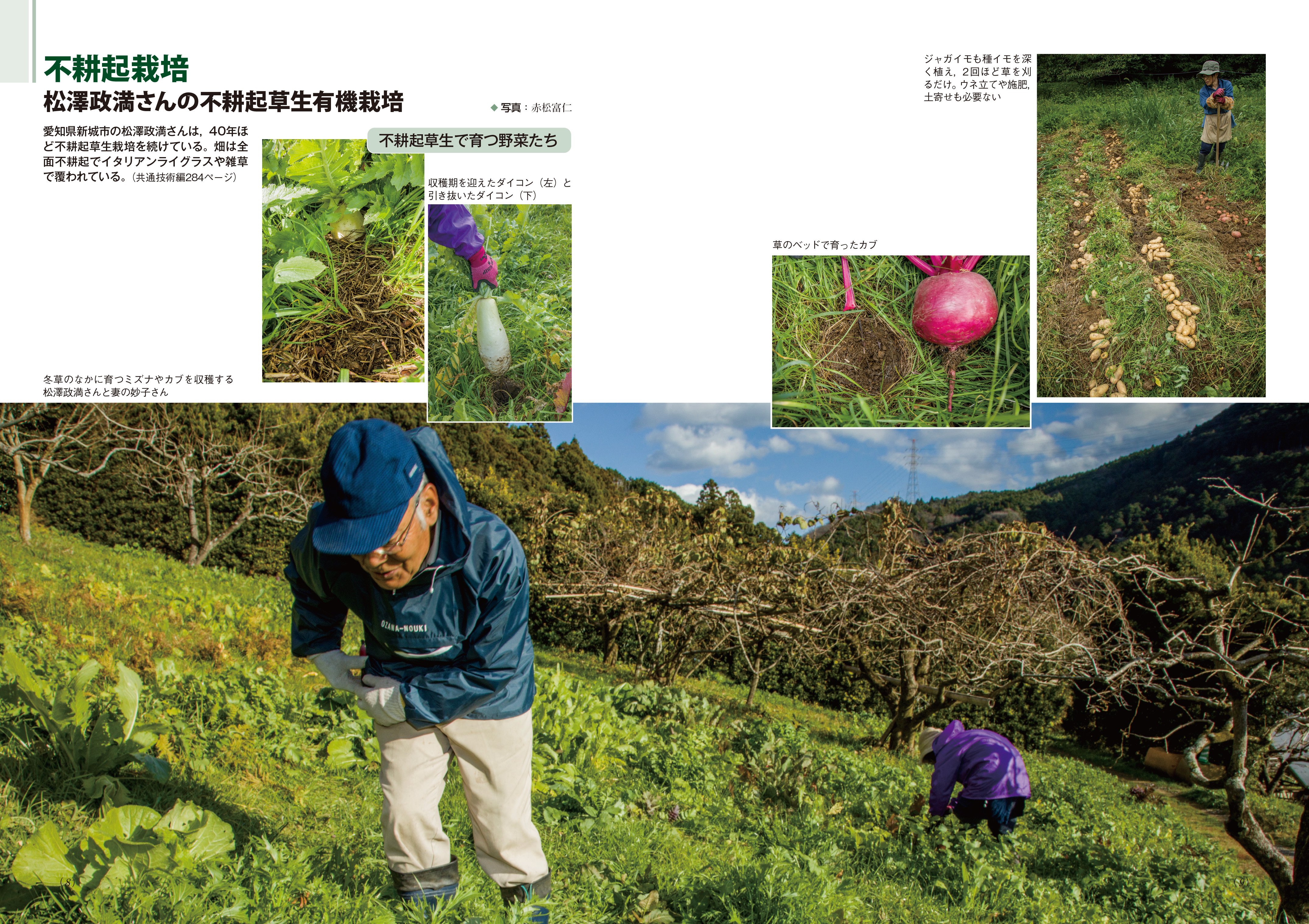 総合 野菜・畑作技術事典 Ⅳ やさい畑 2024年4月号 (発売日2024年03月