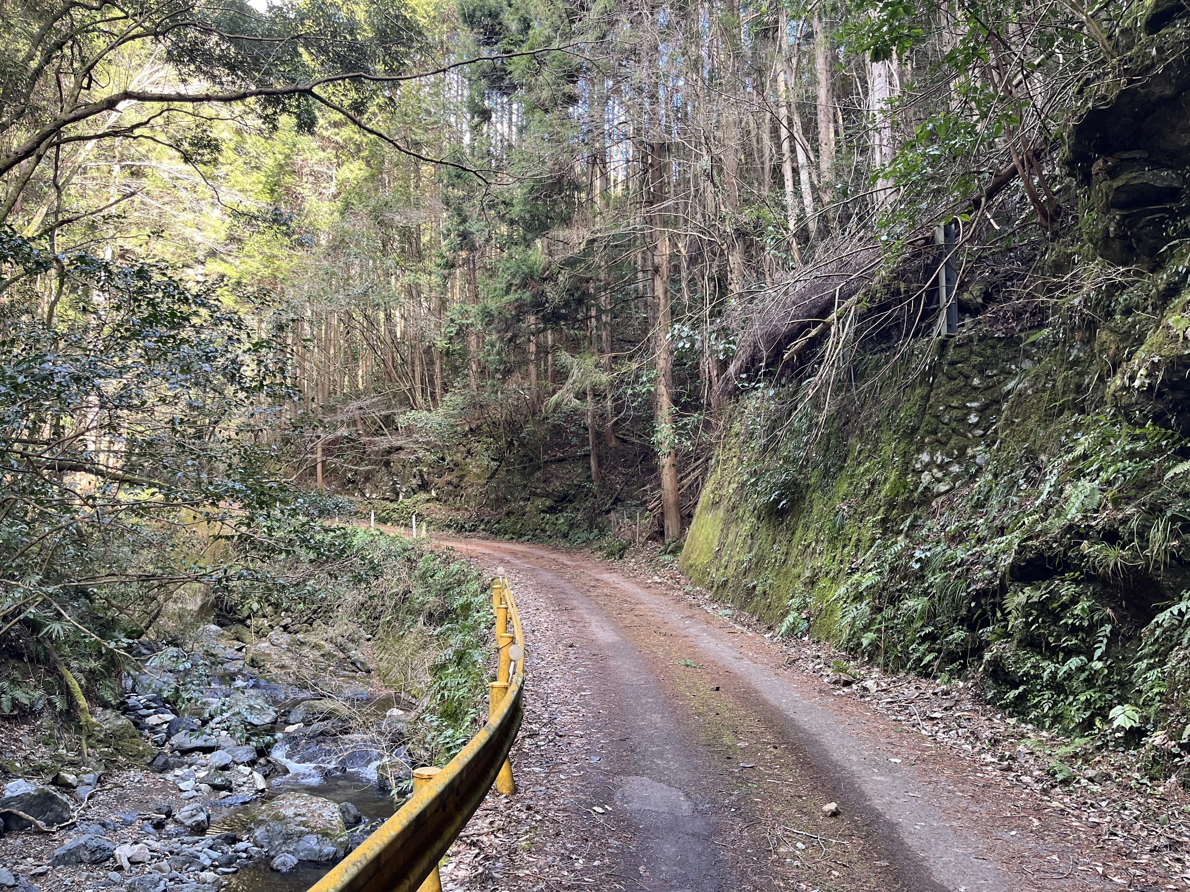 山口県道134号秋掛錦線 不通区間 中編｜Asatteca
