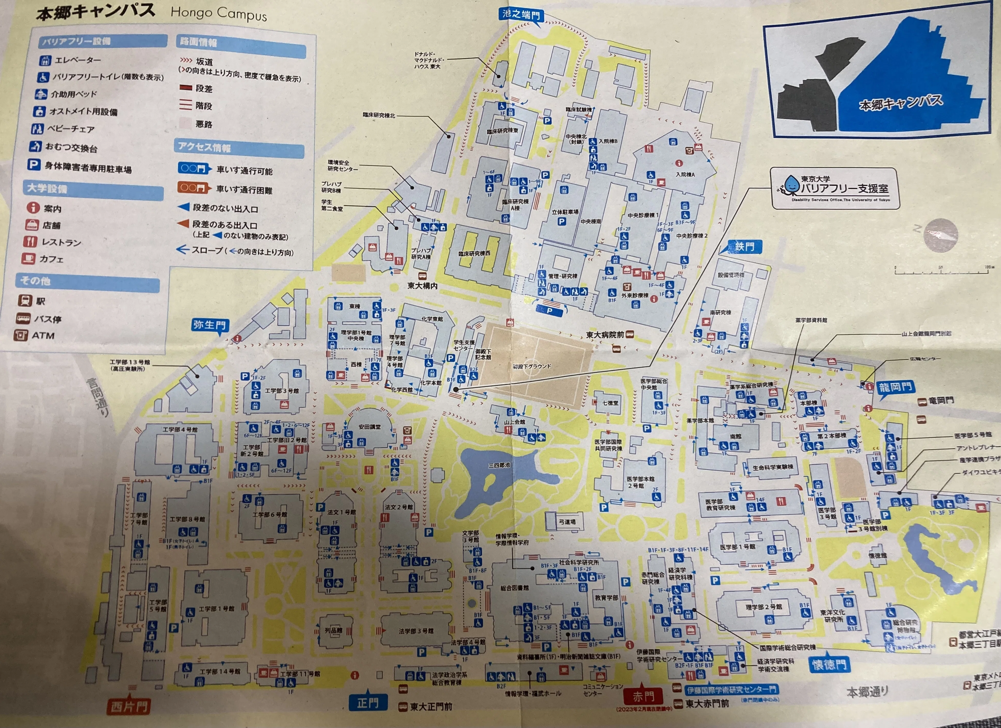 祝 さくら咲く？ 東京大学に入りました｜tora
