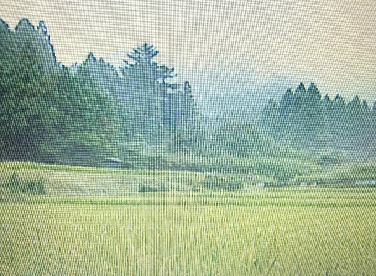 白洲正子の世界→隠れ里を旅する|kinen5260