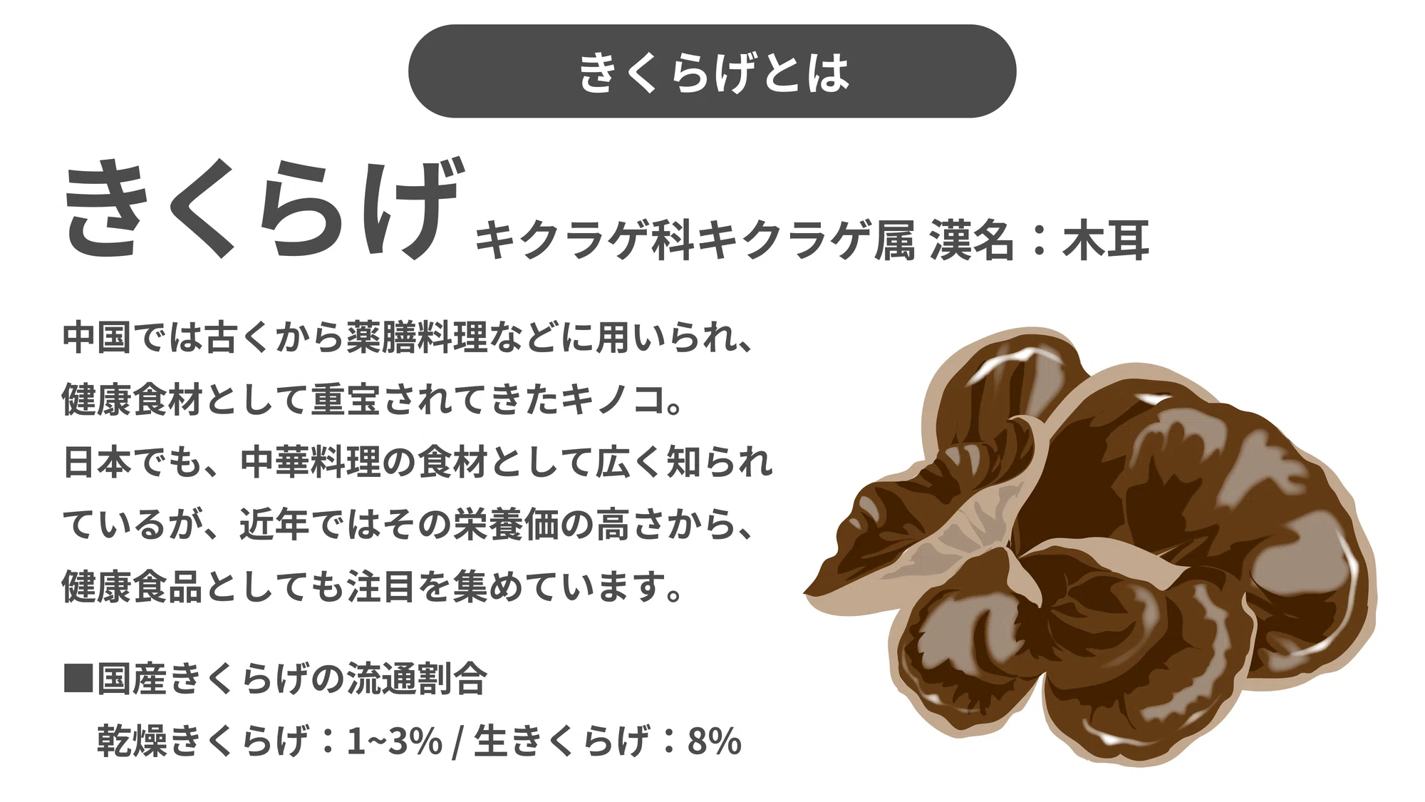生 きくらげ 栄養
