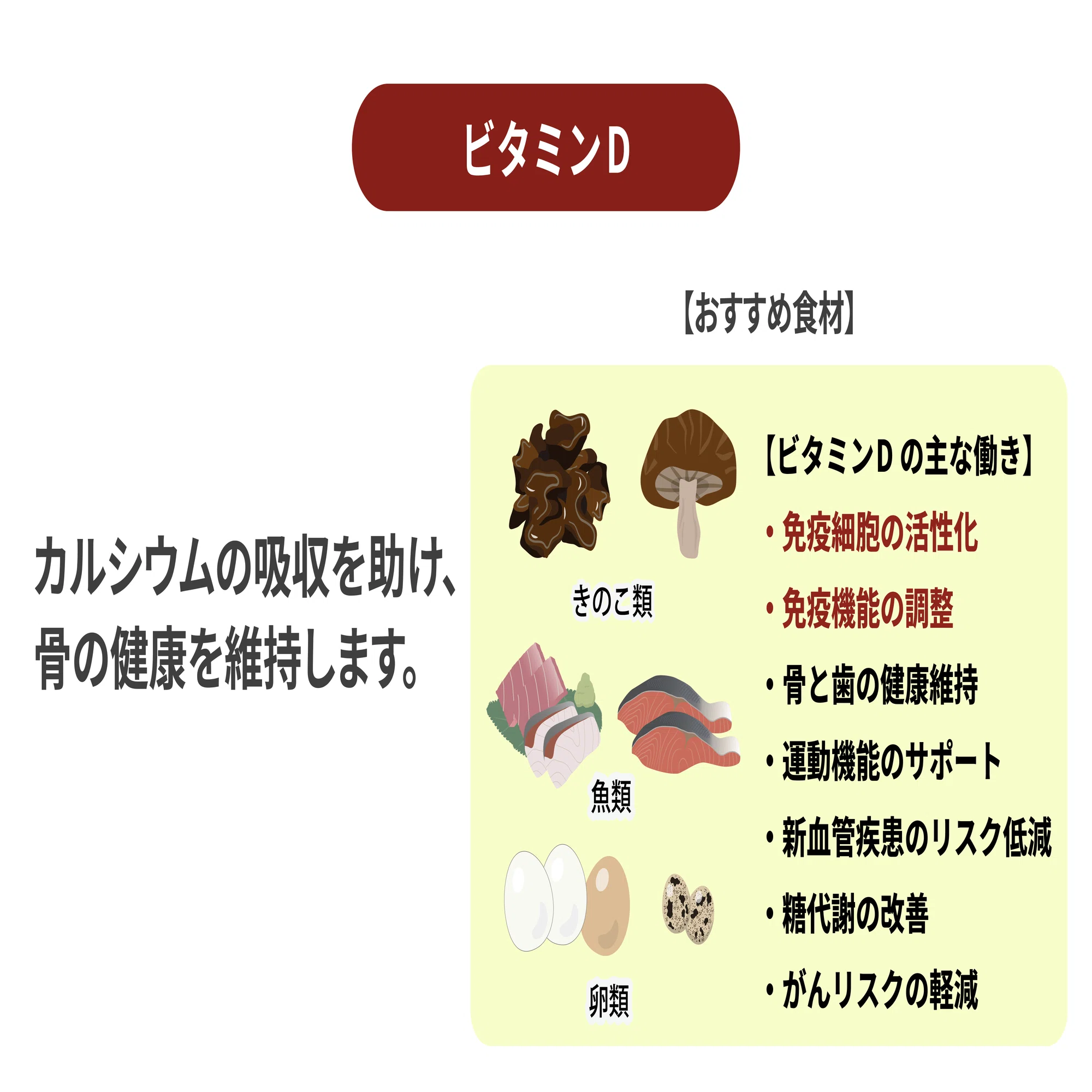 キクラゲ 栄養