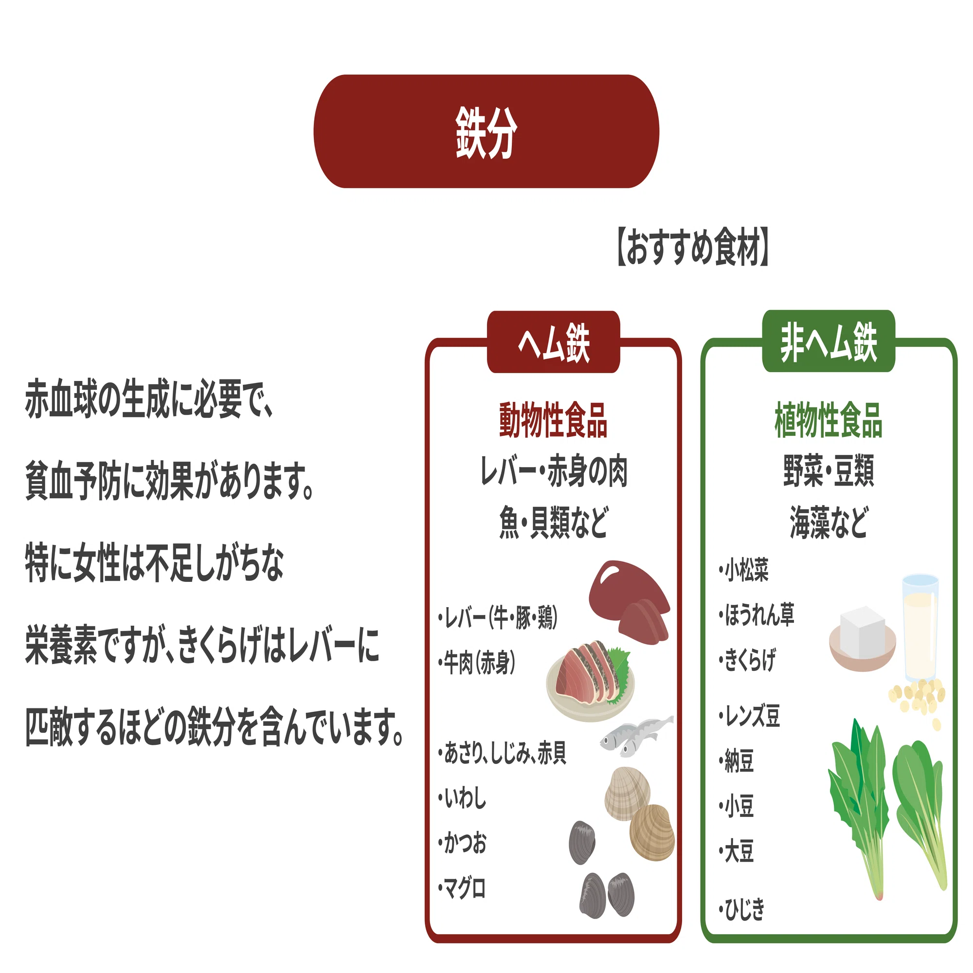 キクラゲ 栄養