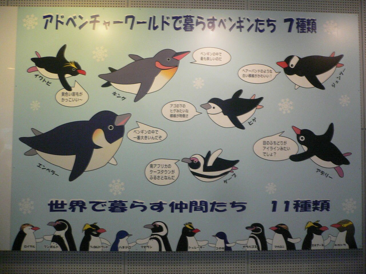 動物いっぱい・南紀白浜アドベンチャーワールド・癒しの一日