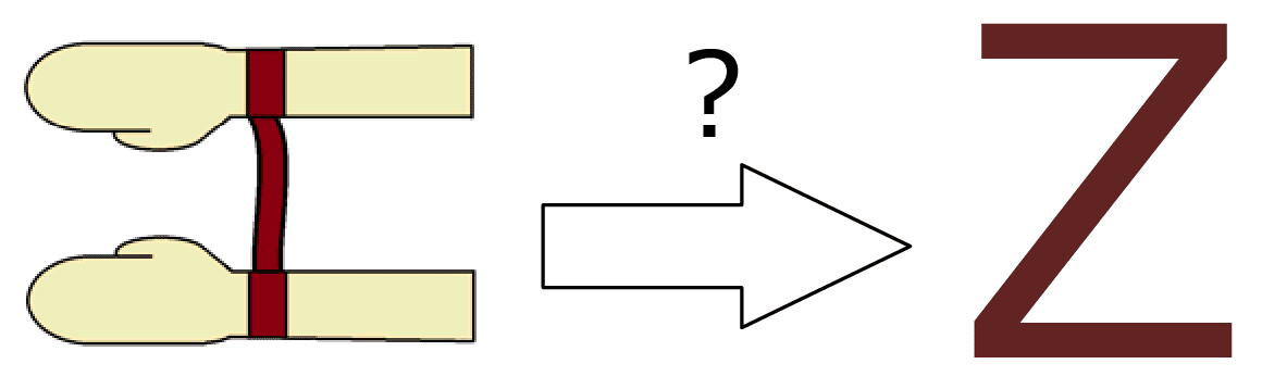 154. アルファベットの印欧比較 [Z]｜mozhi gengo