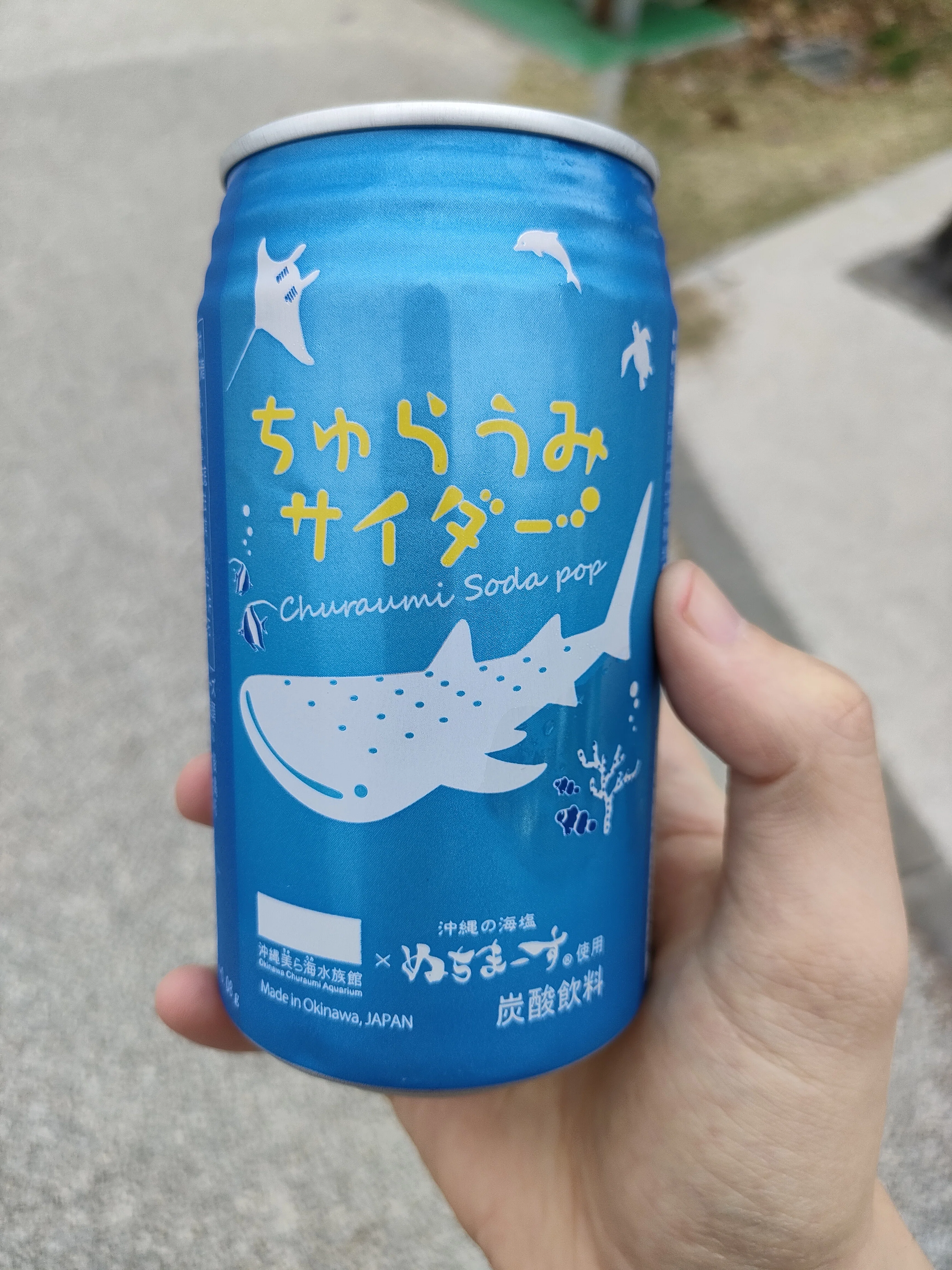 オフシーズンだからこそ楽しめる、静かな沖縄旅行｜ケン吉 / ゼロから