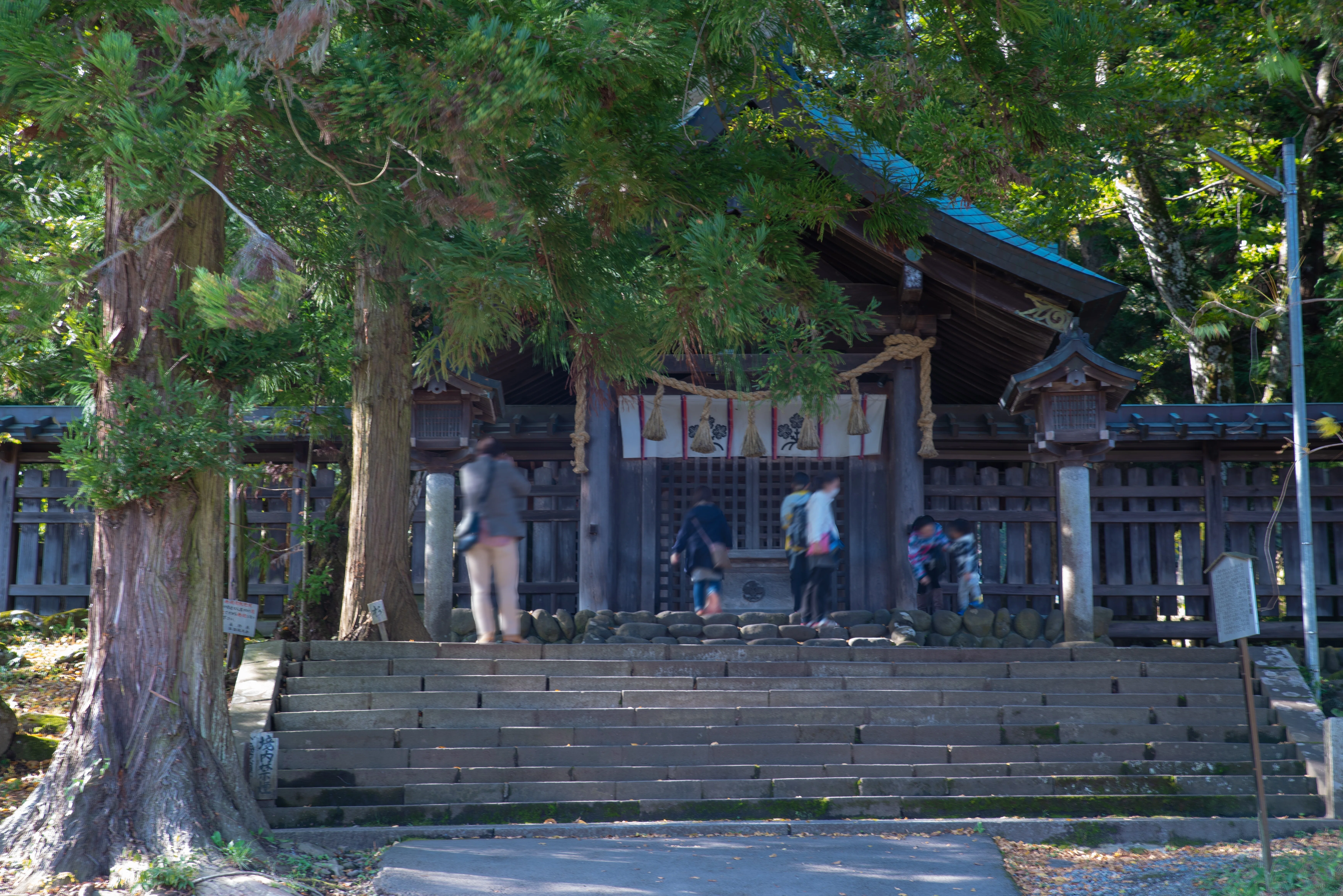 諏訪大社 諏訪の明神さま｜ここは古くからの聖地｜長野県諏訪｜a.n