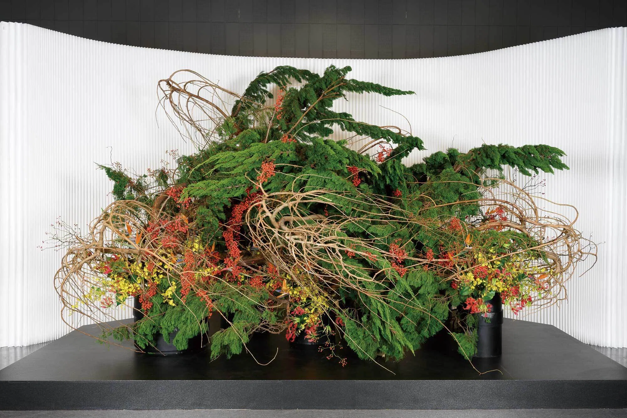 枝垂れ柳を真に用いた生花＋龍生展出展の大作（2025年2月号「口伝容導