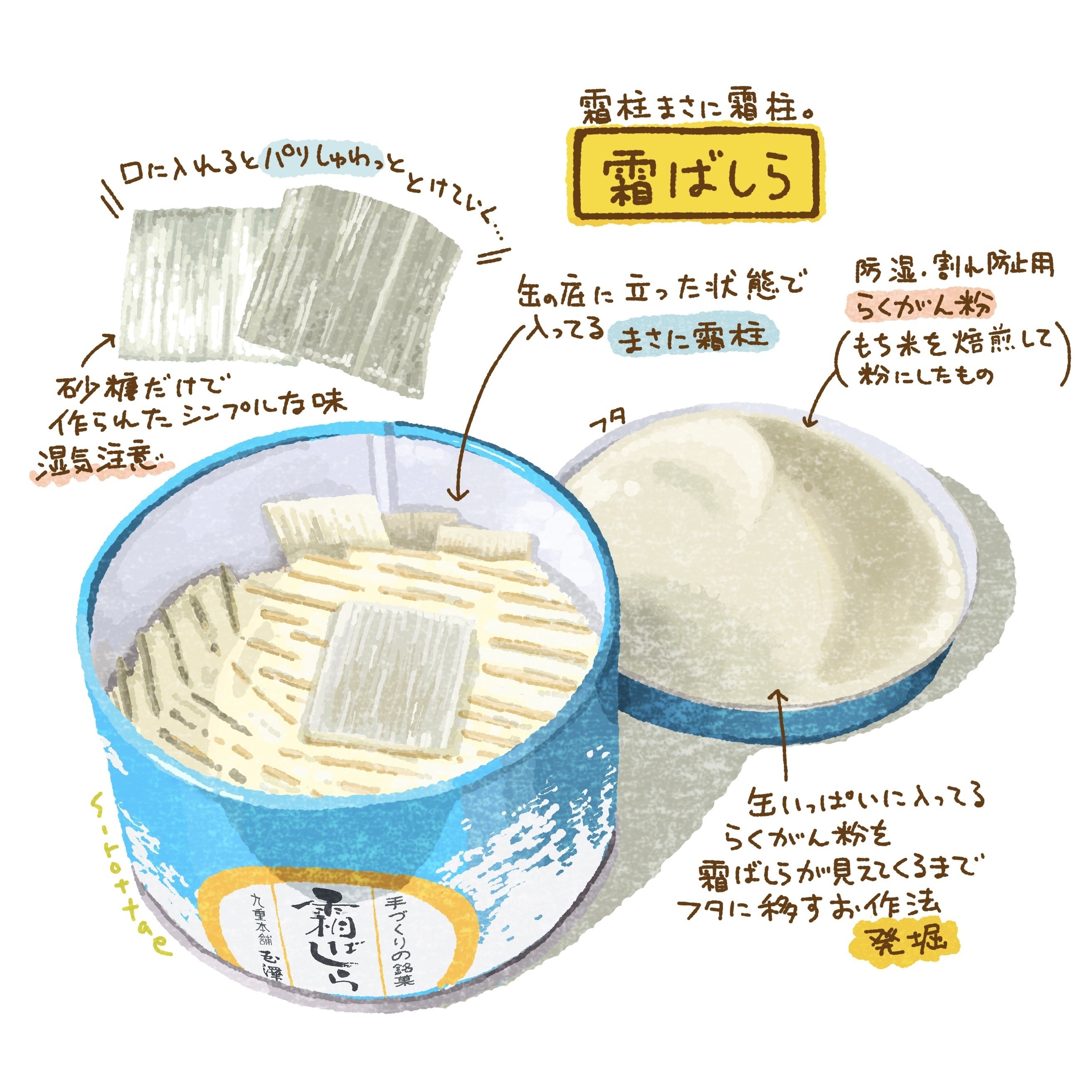 霜ばしら（宮城県）｜白山たえ