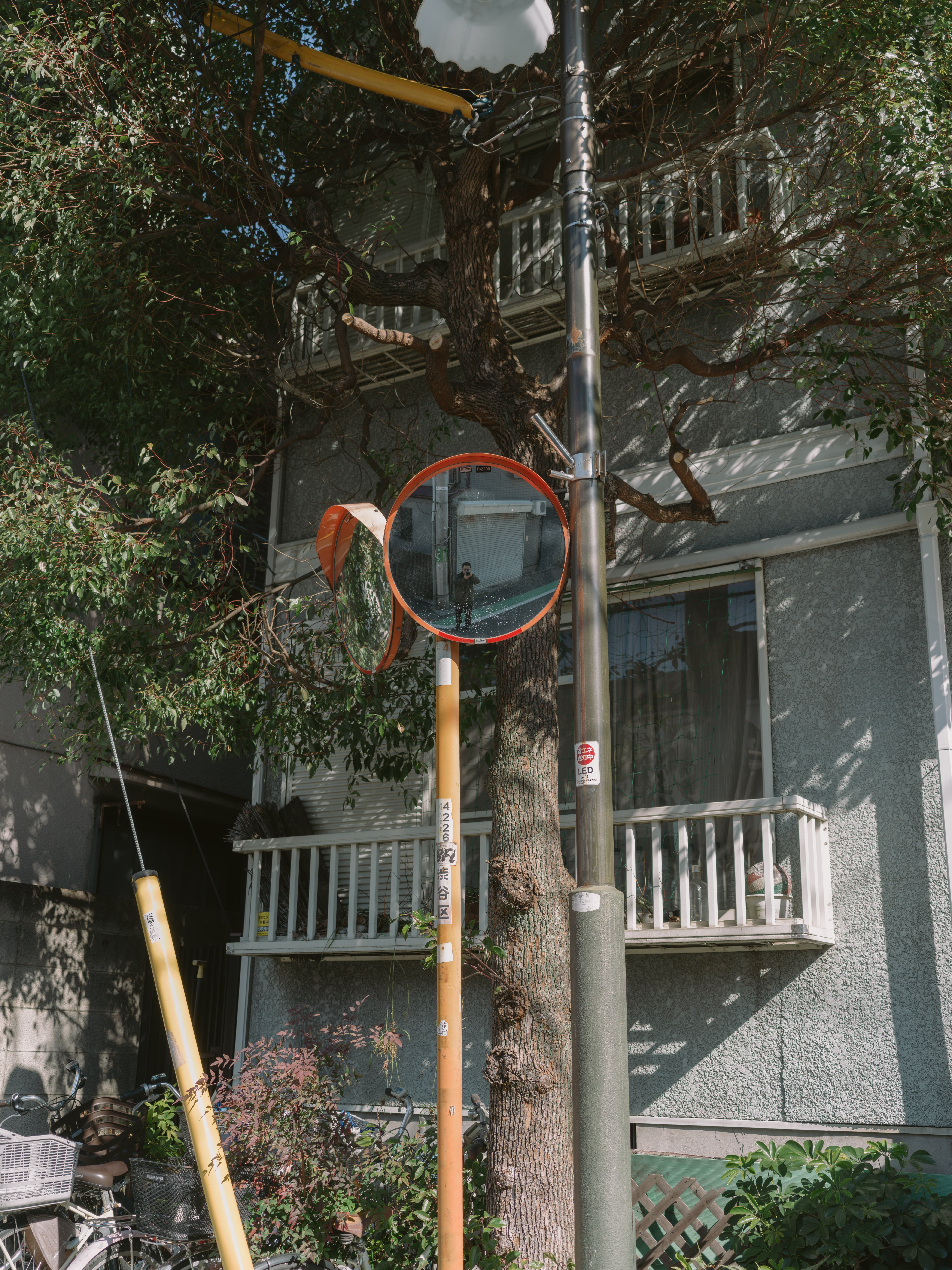 作例29枚】Hasselblad XCD 4/45P【907X/CFV50C】｜たねだもとき