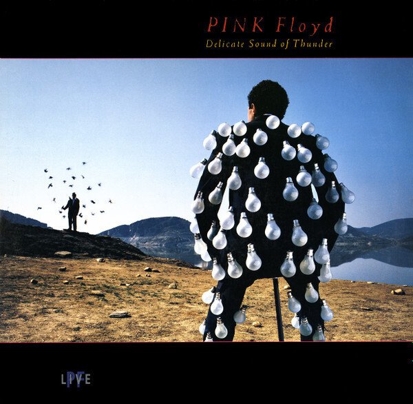 LIVE名盤】” Pink Floyd / Delicate Sound Of Thunder”｜Mr.02