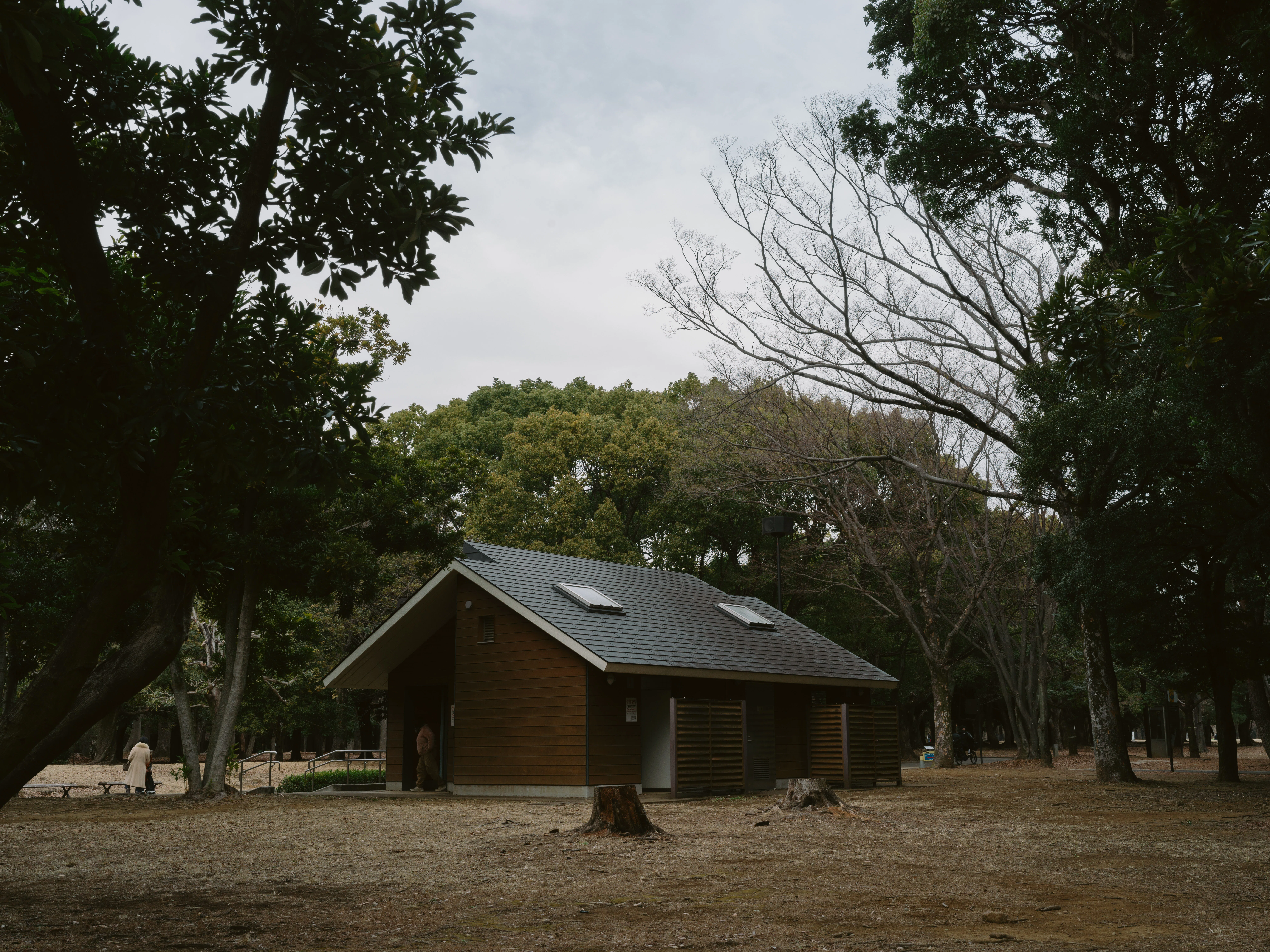 作例29枚】Hasselblad XCD 4/45P【907X/CFV50C】｜たねだもとき