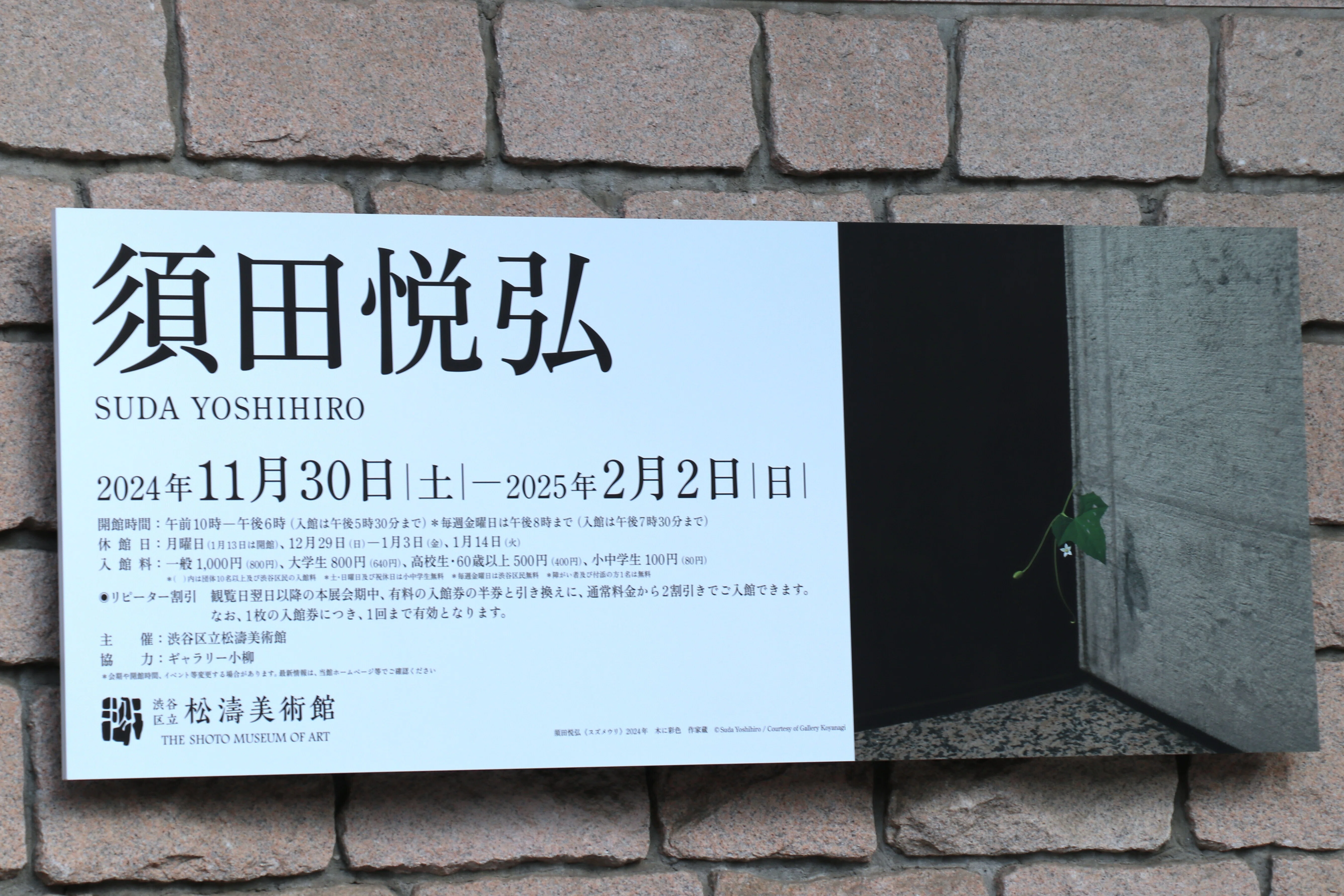 騙される」驚きと喜び - 須田悦弘展＠渋谷区松濤美術館(-2/2)｜Abbey