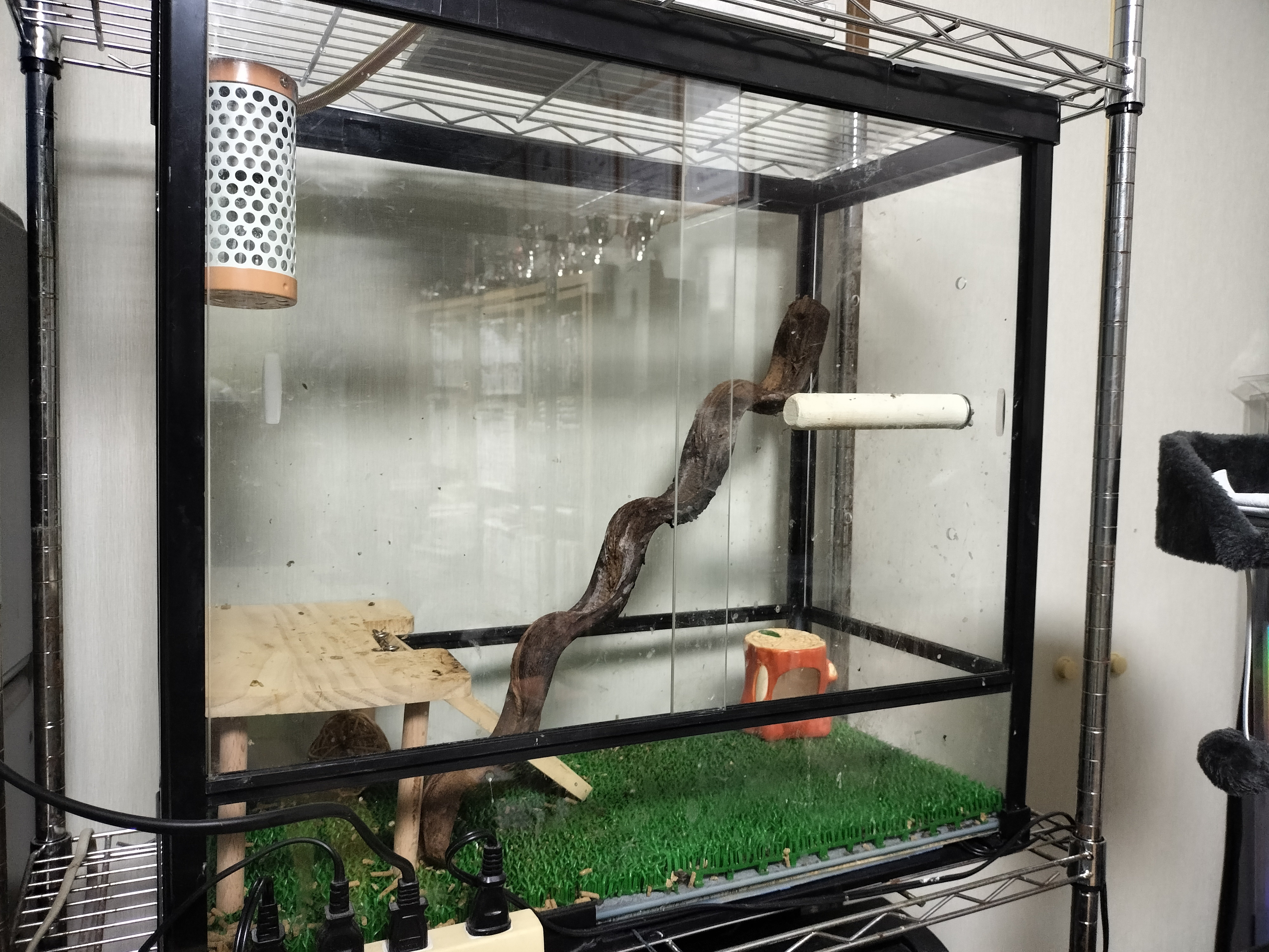 フクロモモンガ飼育マニュアル｜JERO